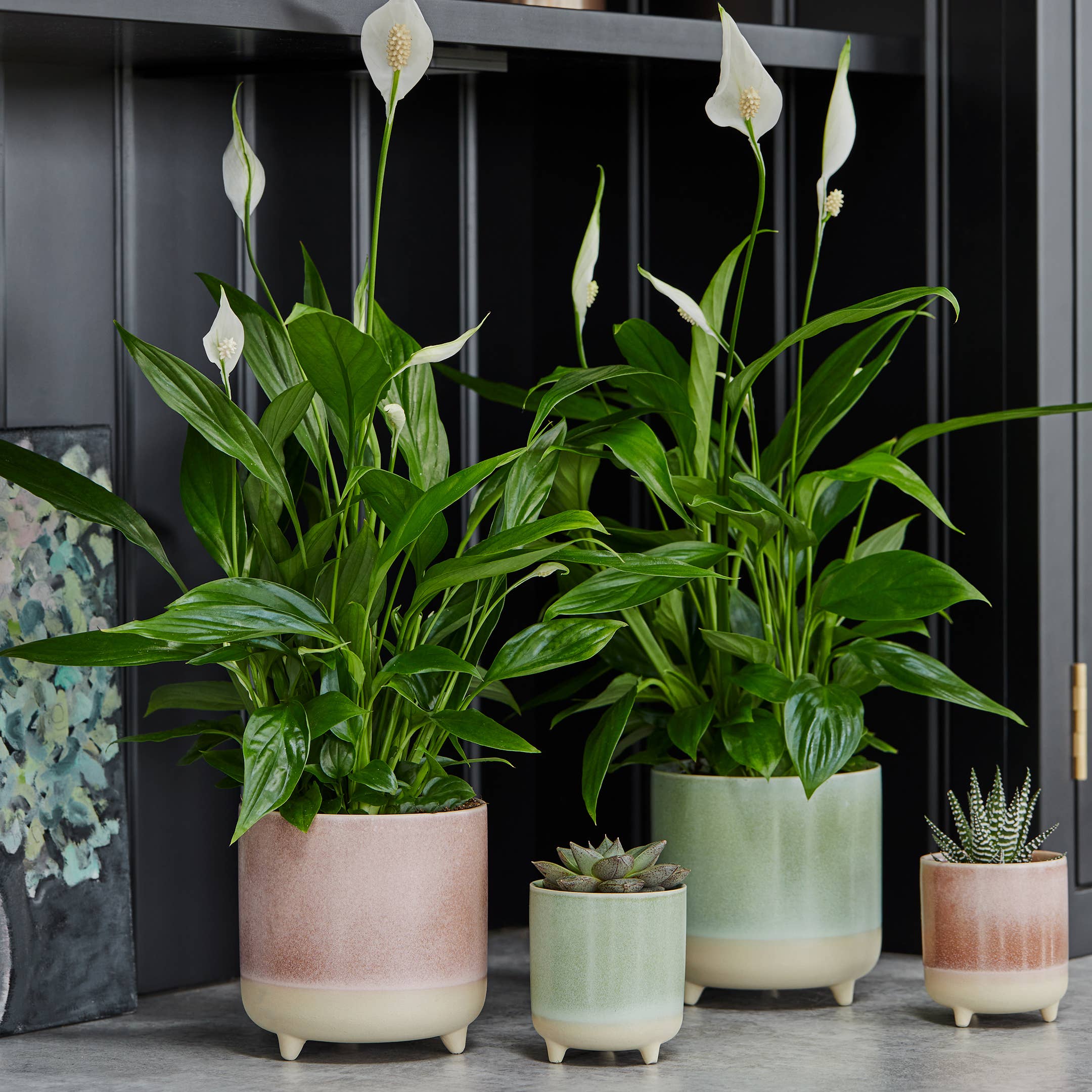 glazed ceramic indoor plant pots Jolie Matte Reactive Glaze Ceramic Indoor Cacti Planter – Green on the Lanes