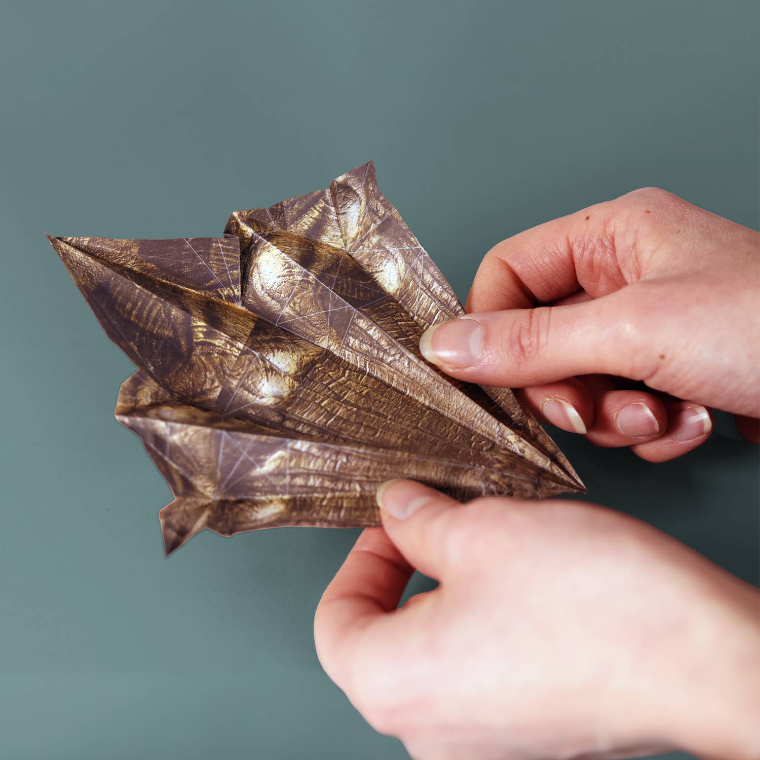 Paper Dinos | Perfect for Dino Enthusiasts | Cute DIY Kit