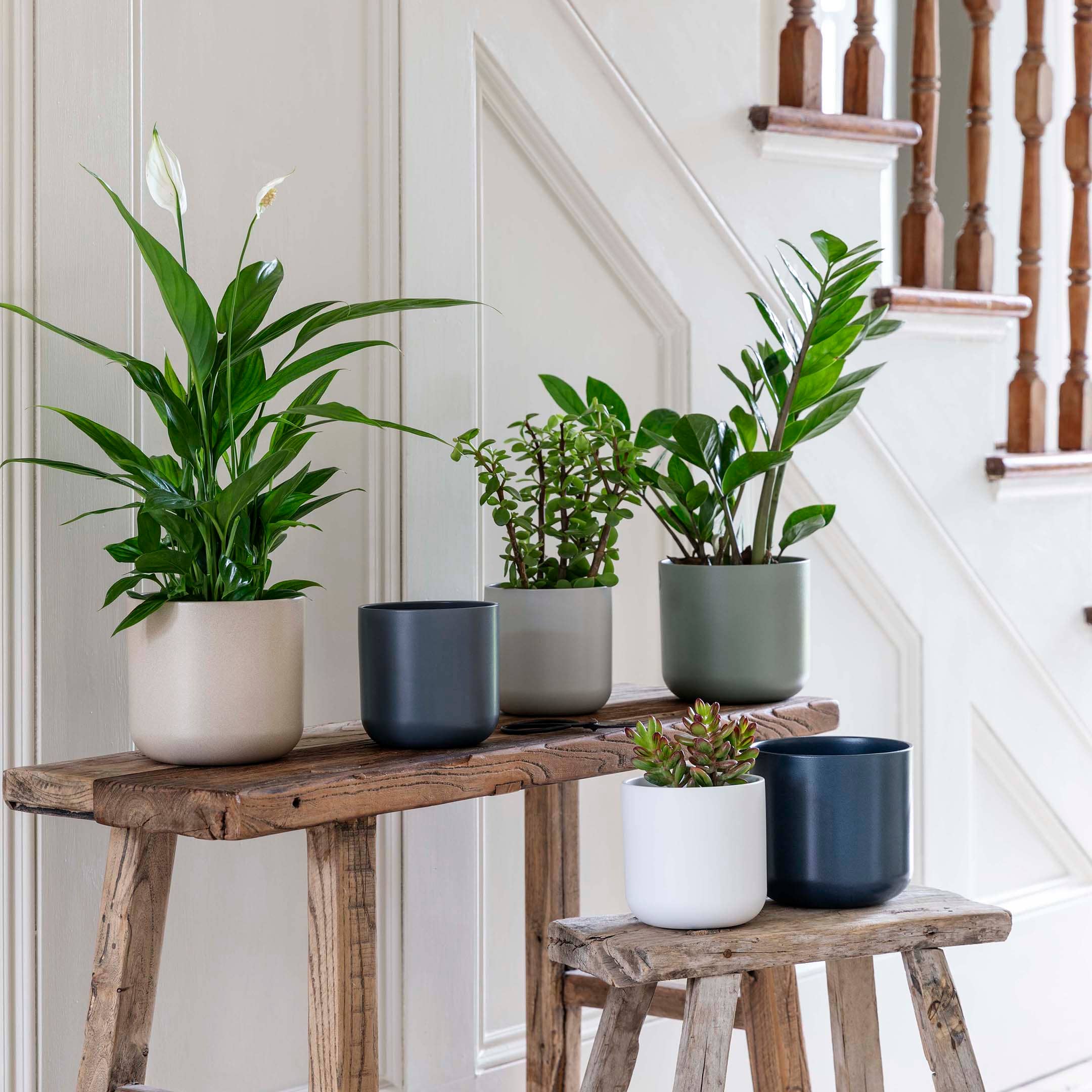 Lisbon Ceramic Indoor Planter H13.5cm D13.5cm