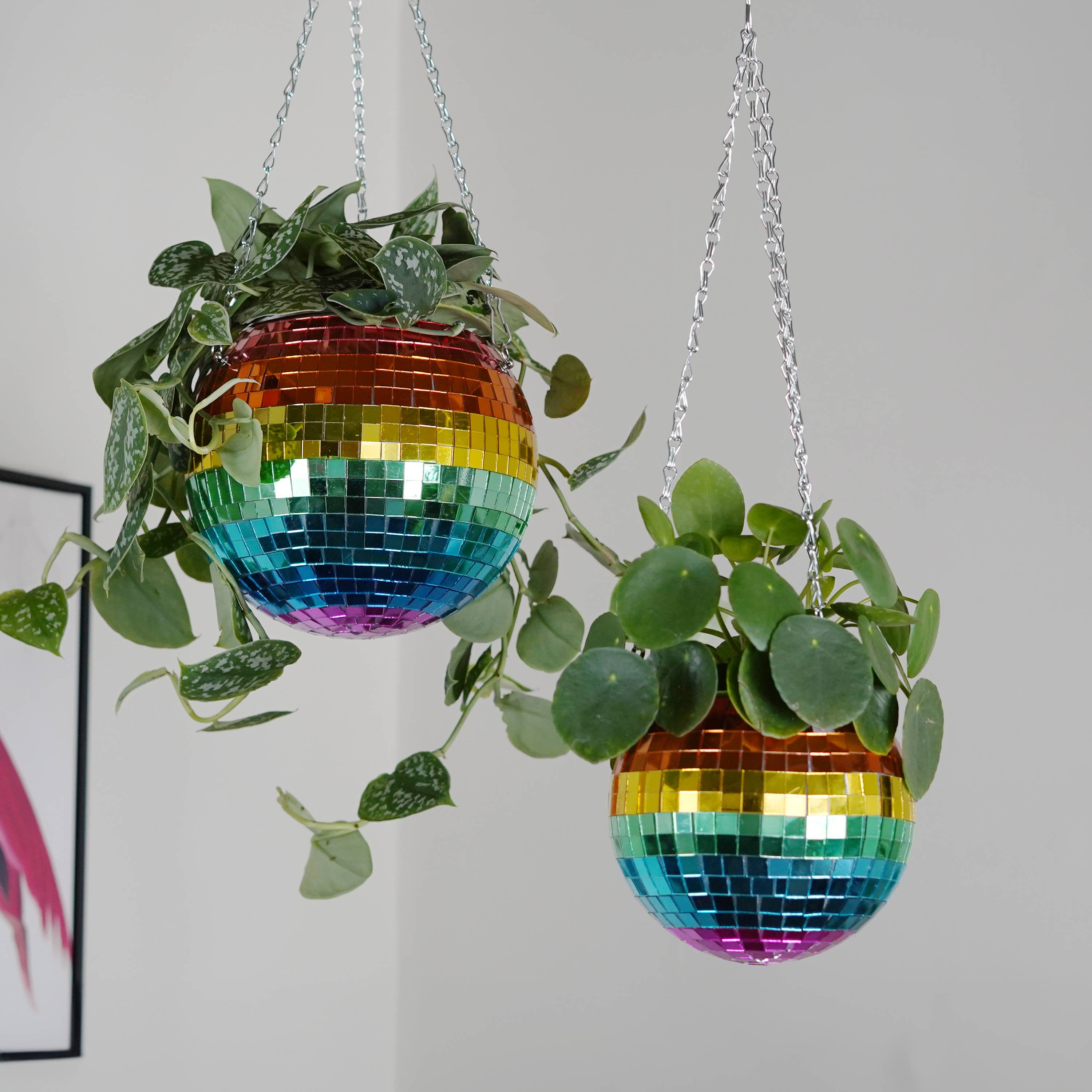 Disco Ball Hanging Planter - Rainbow (6in)