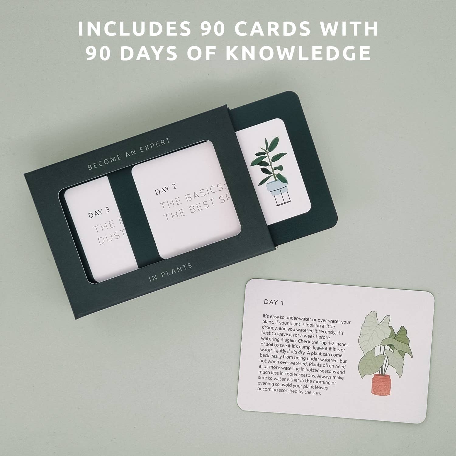 Become an Expert in Plants in 90 Days Slide Box | Plant Gift