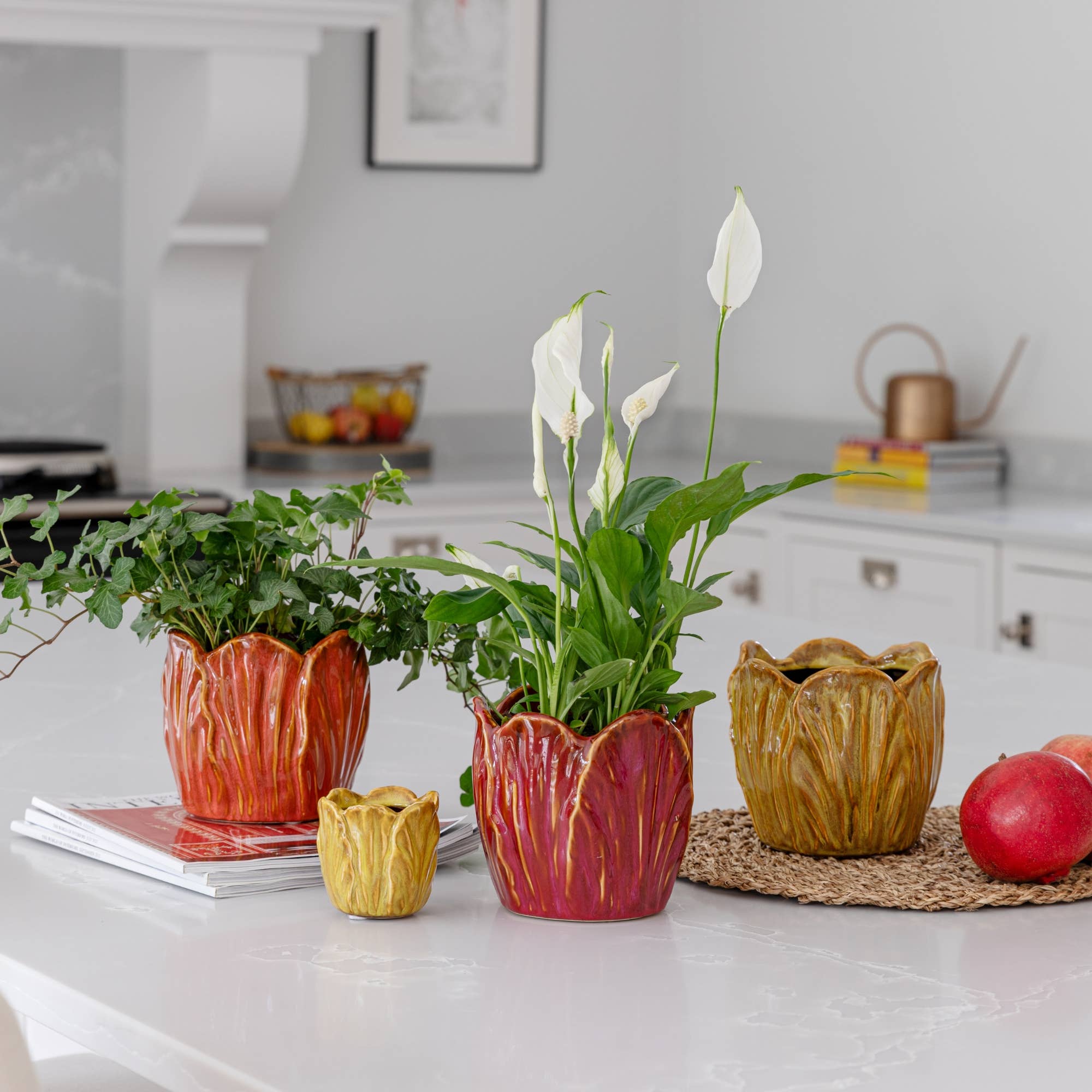 Alyssa Tulip Planter