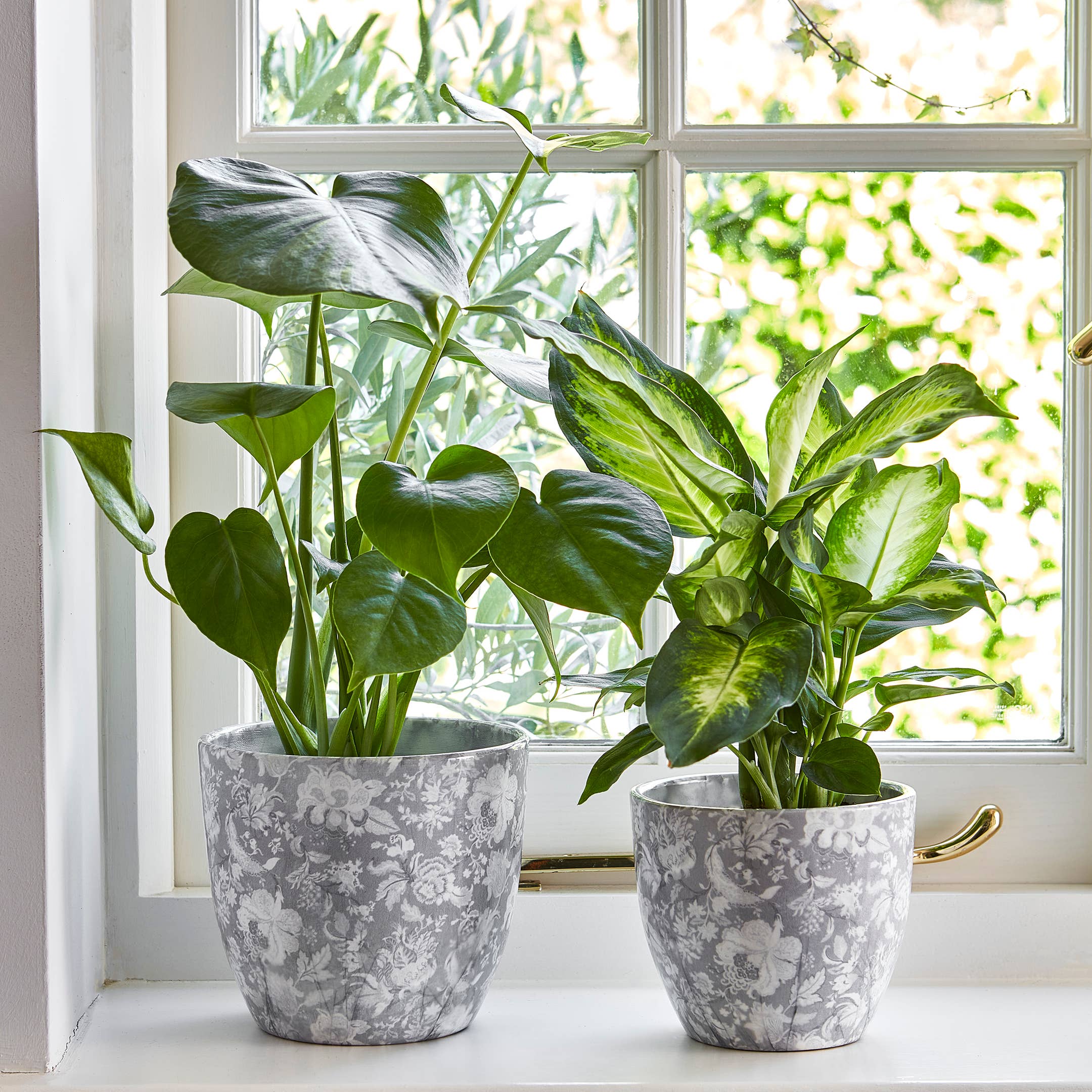 Monza Indoor Ceramic Plant Pot H16.5cm x D16.5cm