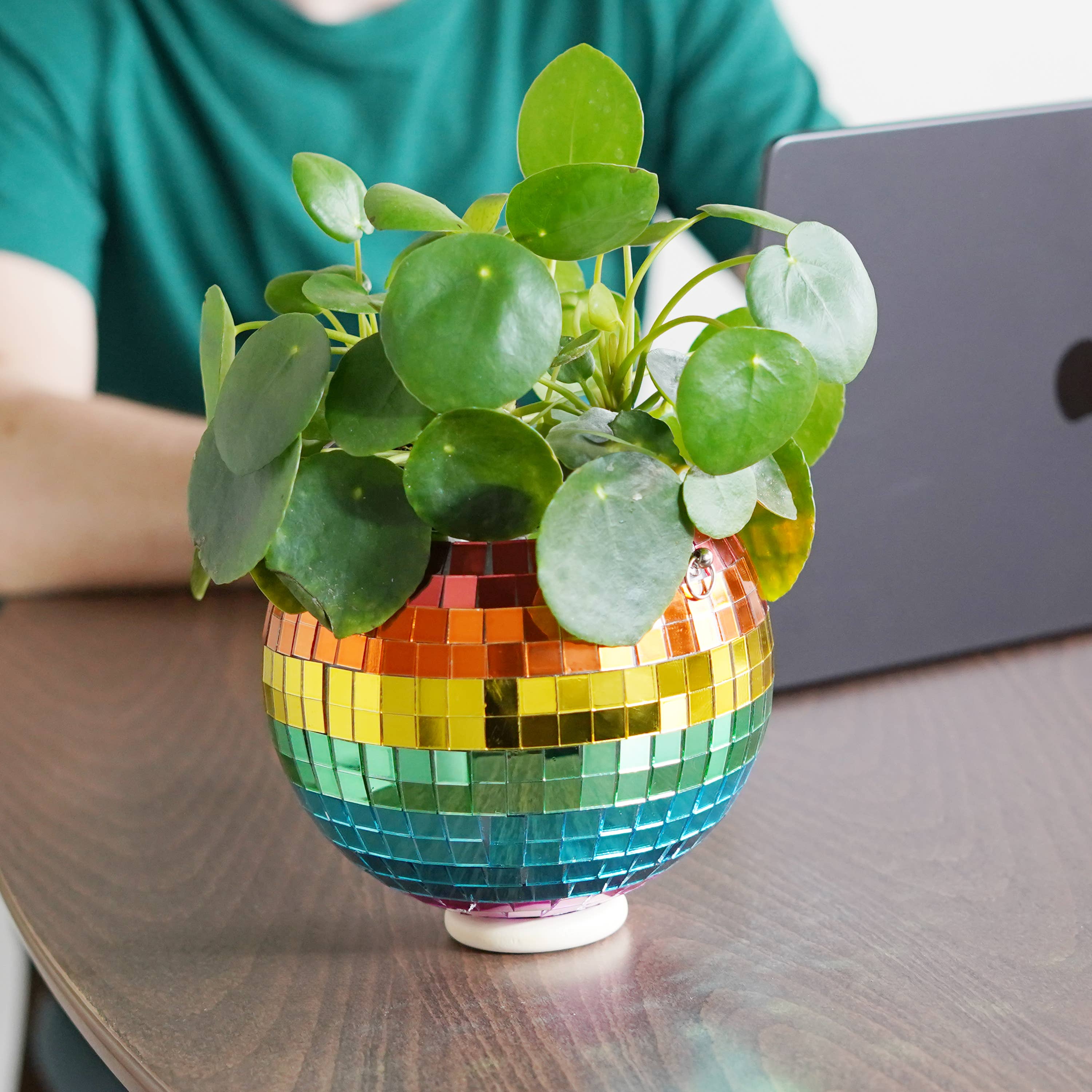 Disco Ball Hanging Planter - Rainbow (6in)