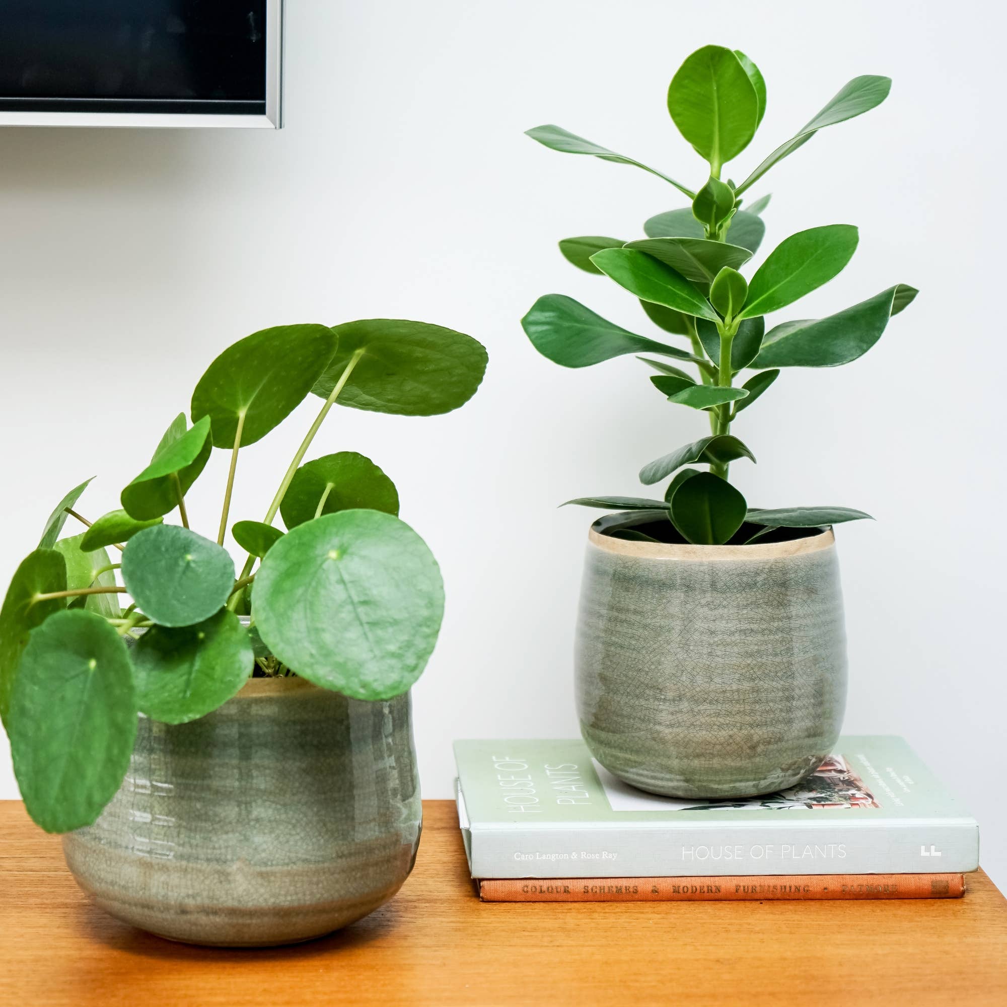 Como Hand Finished Indoor Ceramic Plant Pot H14cm D15cm