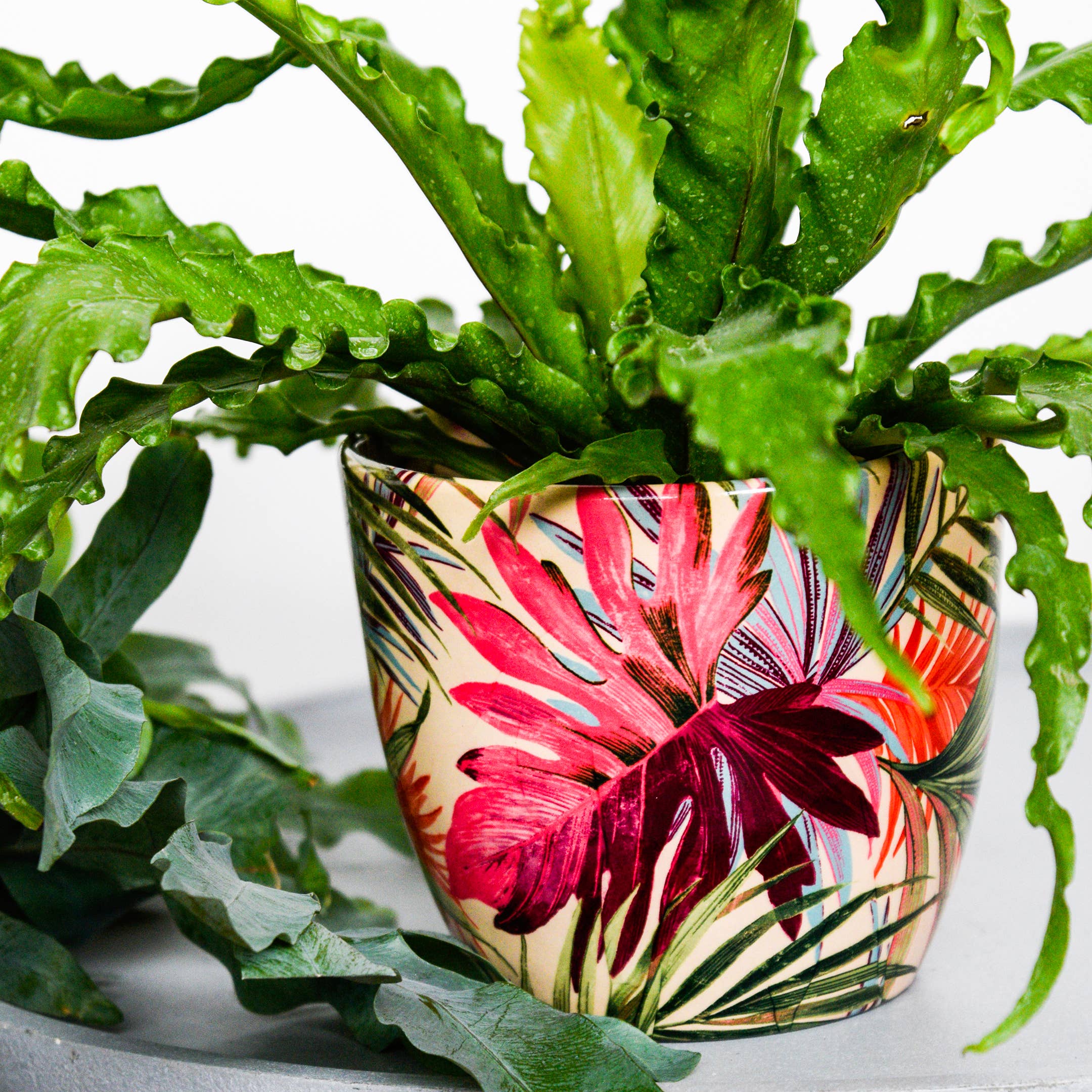 Monza Indoor Ceramic Plant Pot H16.5cm x D16.5cm