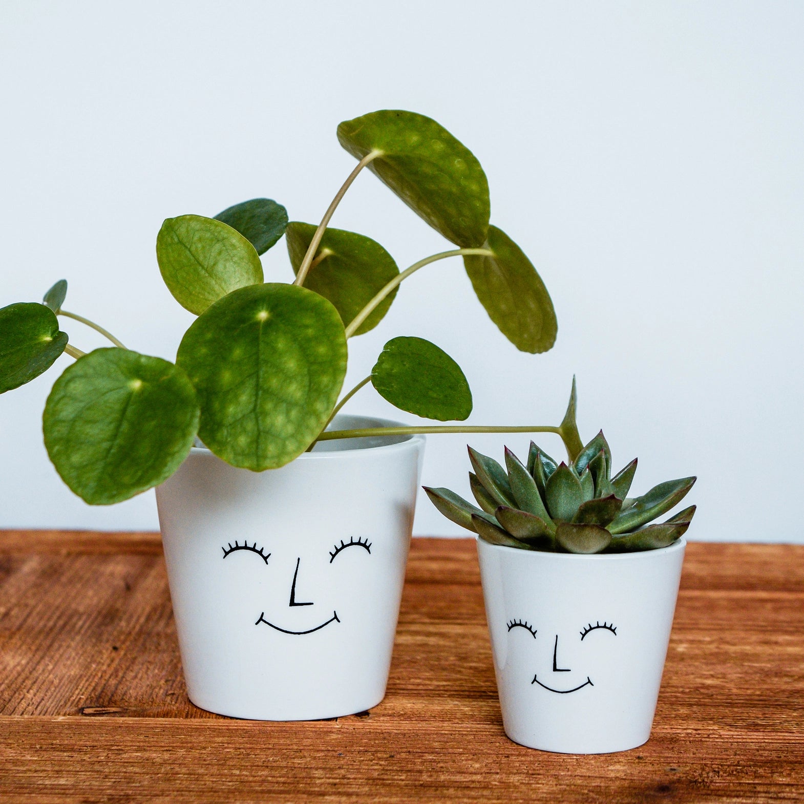 Face Planter Happy D7xH7cm