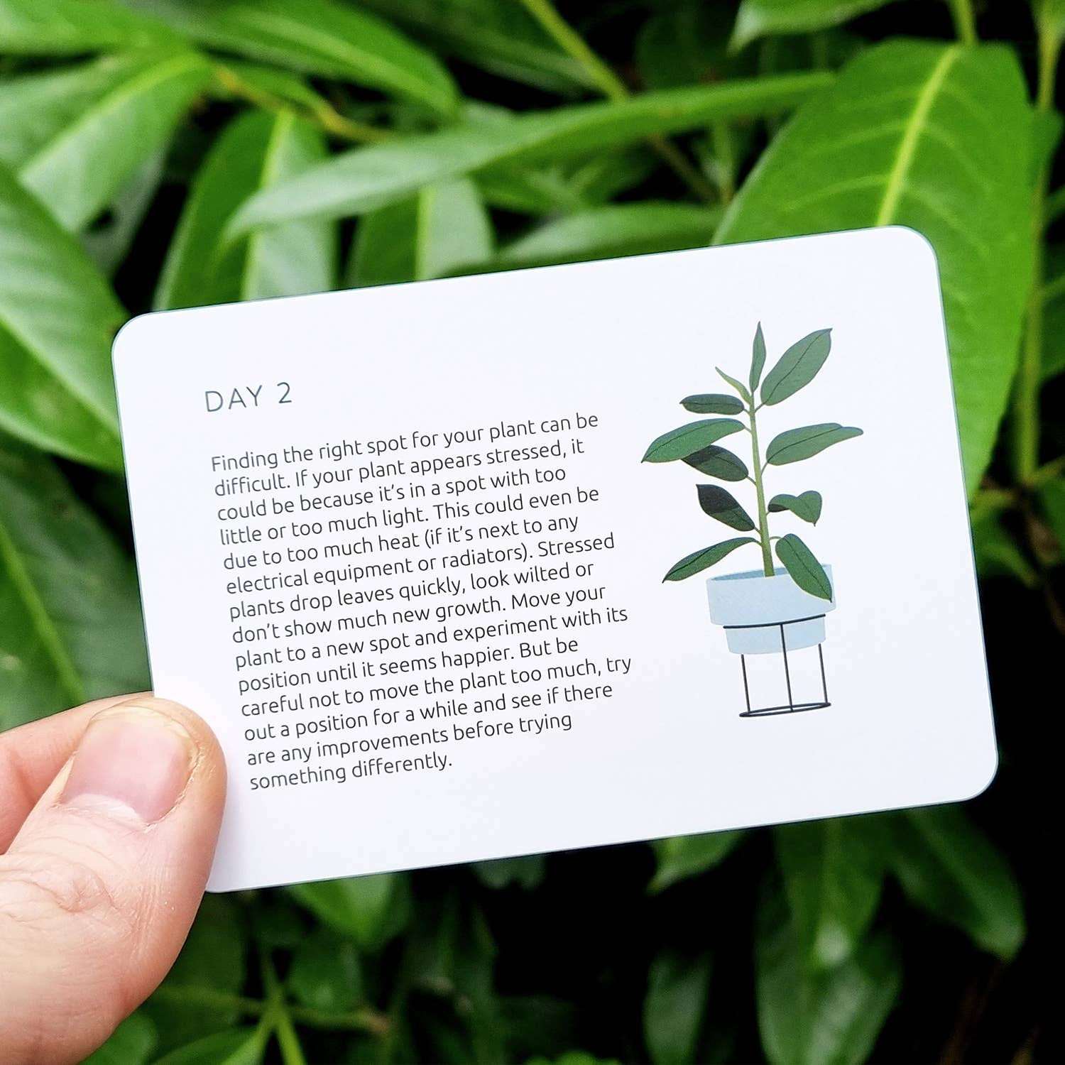 Become an Expert in Plants in 90 Days Slide Box | Plant Gift
