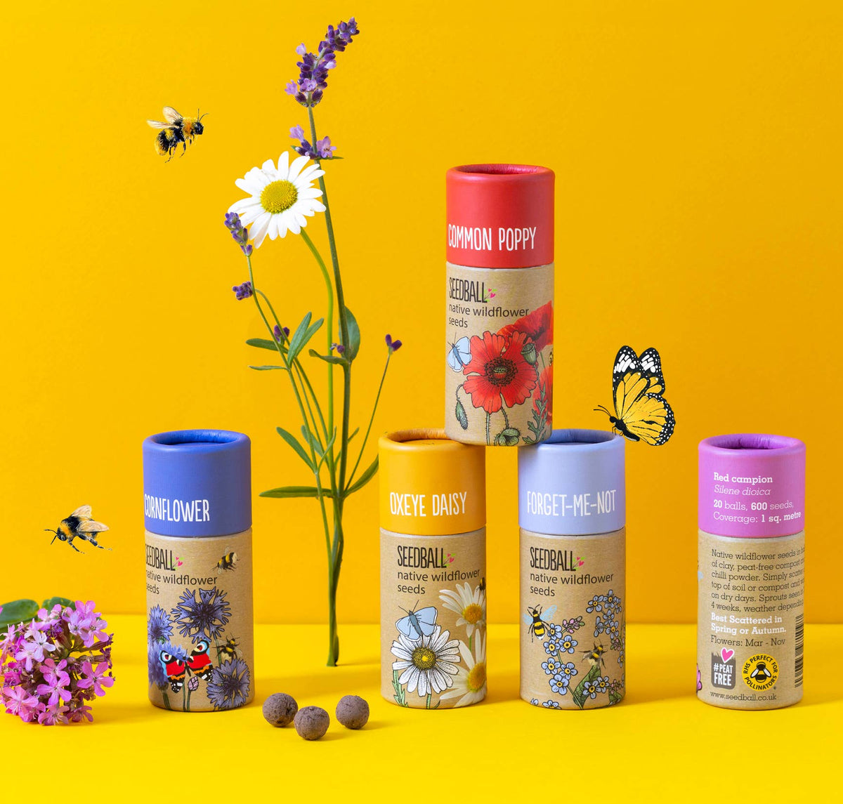 Wildflower Seedball Tubes - Mixed Box