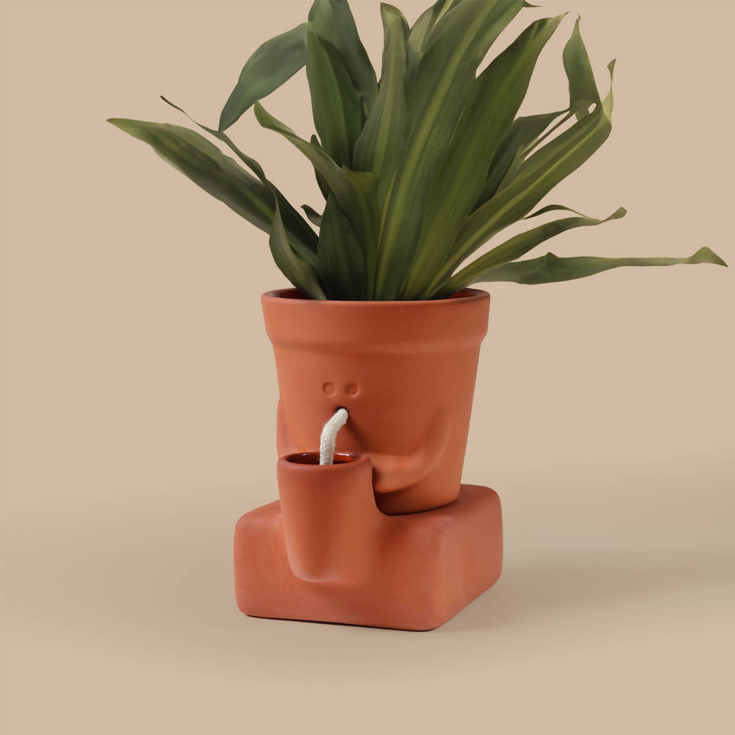 The Thirsty Planter | Self-Watering Plant Pot | Plant Gift