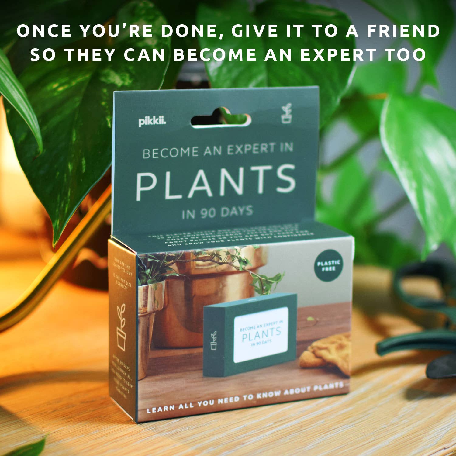 Become an Expert in Plants in 90 Days Slide Box | Plant Gift