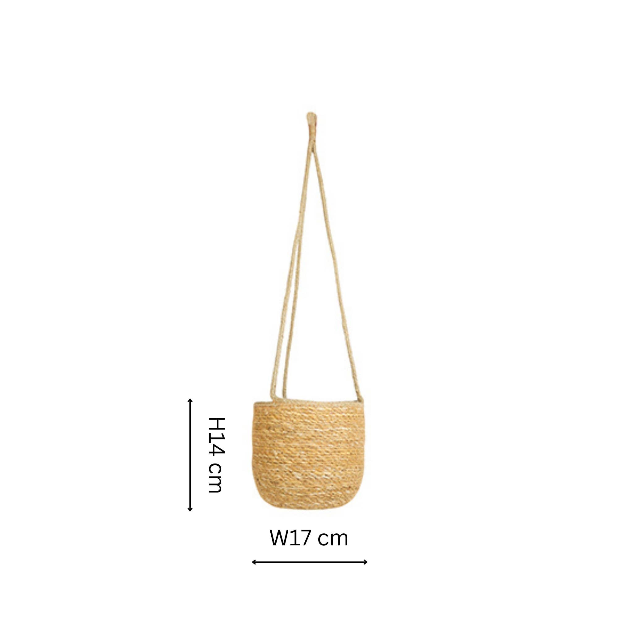 Odda Hanging Natural Seagrass Lined Indoor Planter