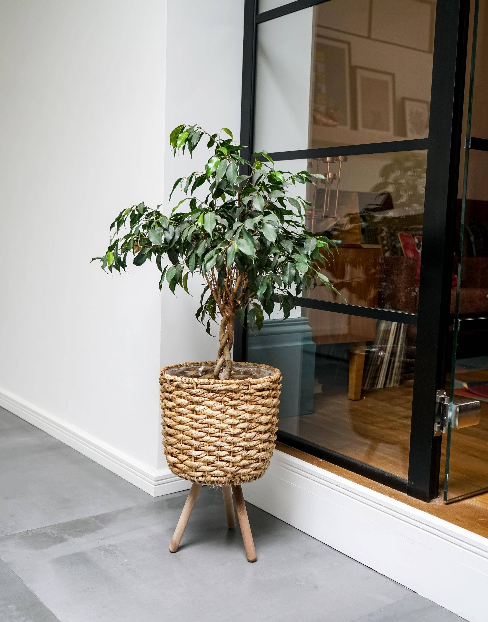 Water Hyacinth Sustainable Lined Basket on Wooden Legs