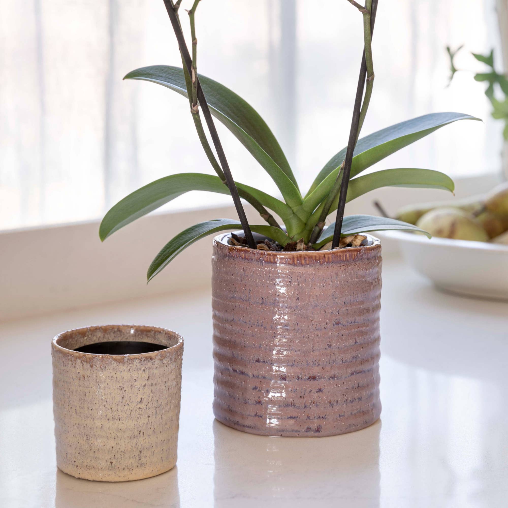 Chambray Reactive Glaze Ceramic Indoor Planter In Rose