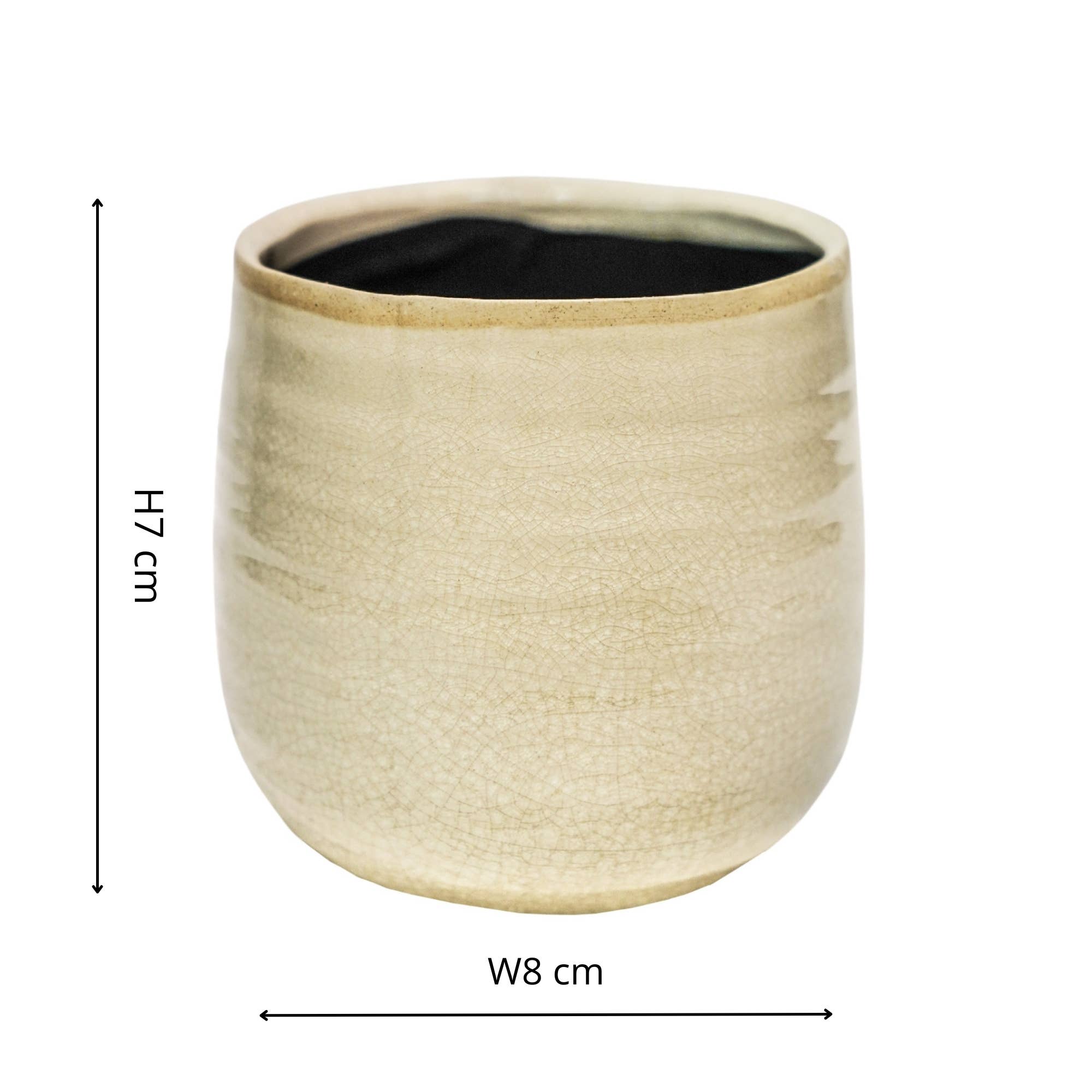 Pot Como Cacti Planter H7CM X D8CM