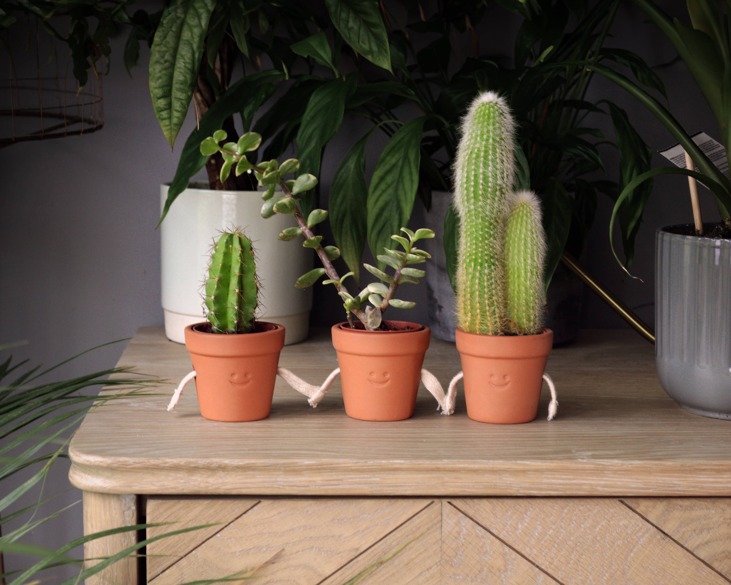 Hand-Holding Succulent Pots | Ceramic Planters | Cute Gift