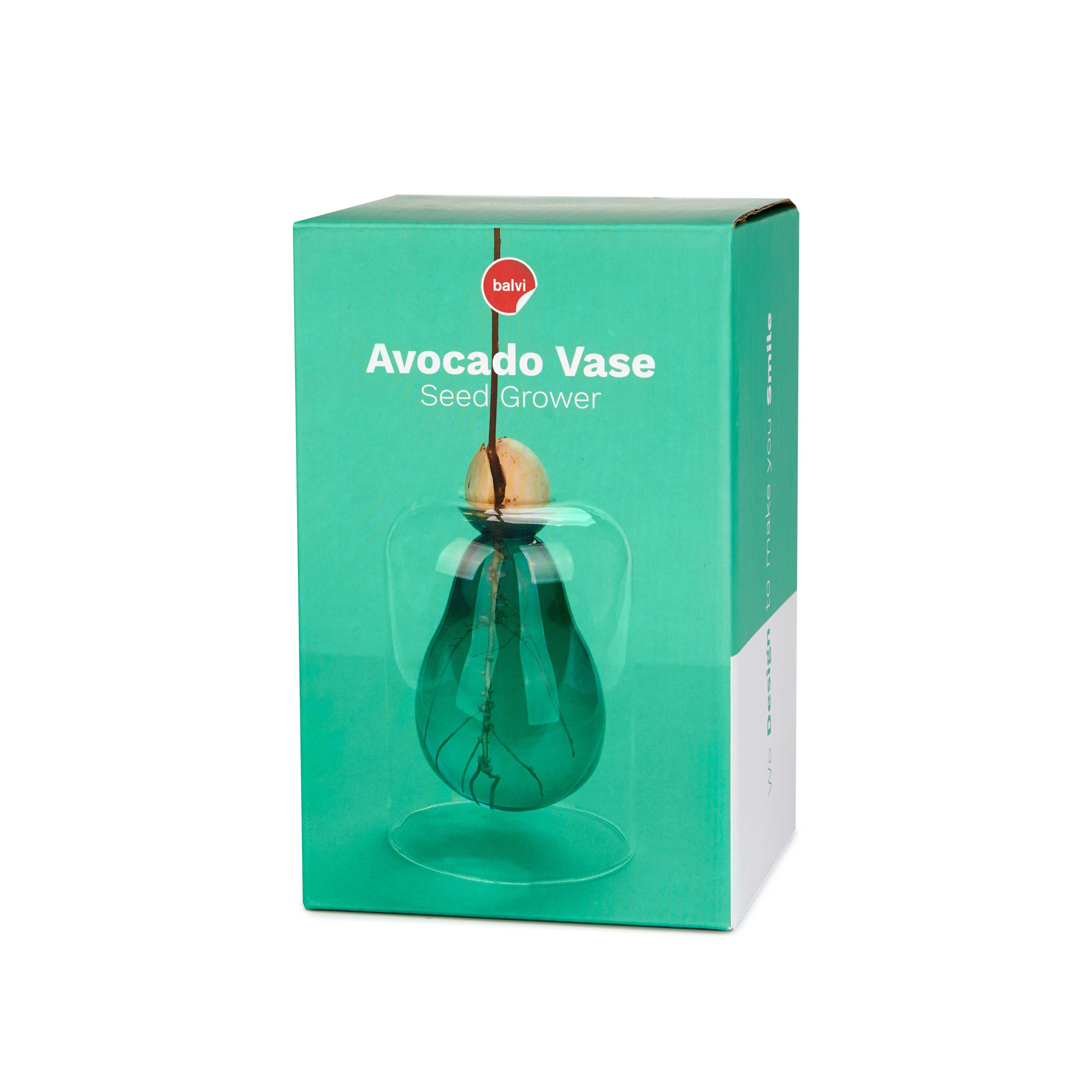 Balvi Glass Seed Grower Avocado