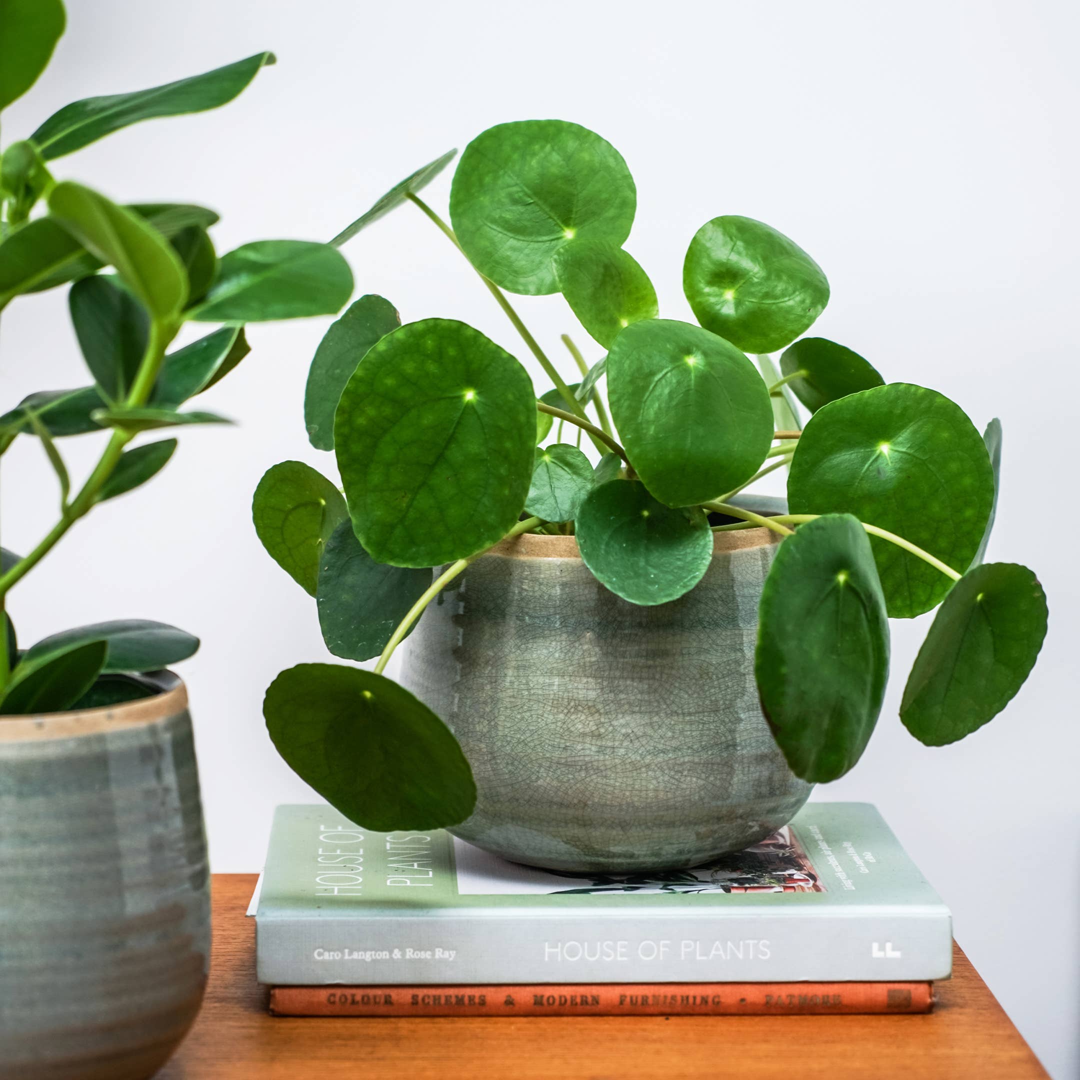 Como Hand Finished Indoor Ceramic Plant Pot H12cm x D14cm