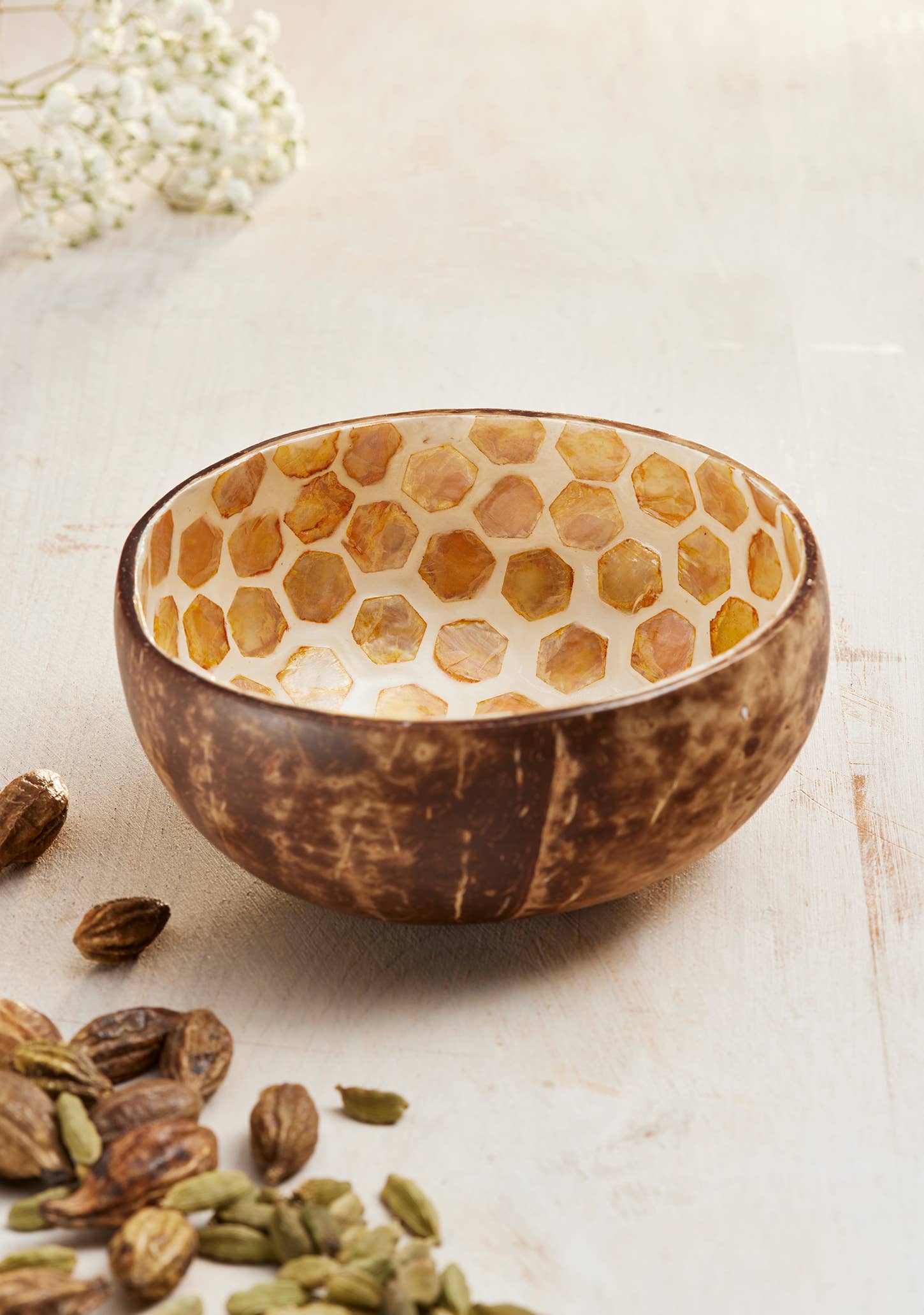 Coconut Bowl, Shell Honeycomb Bee