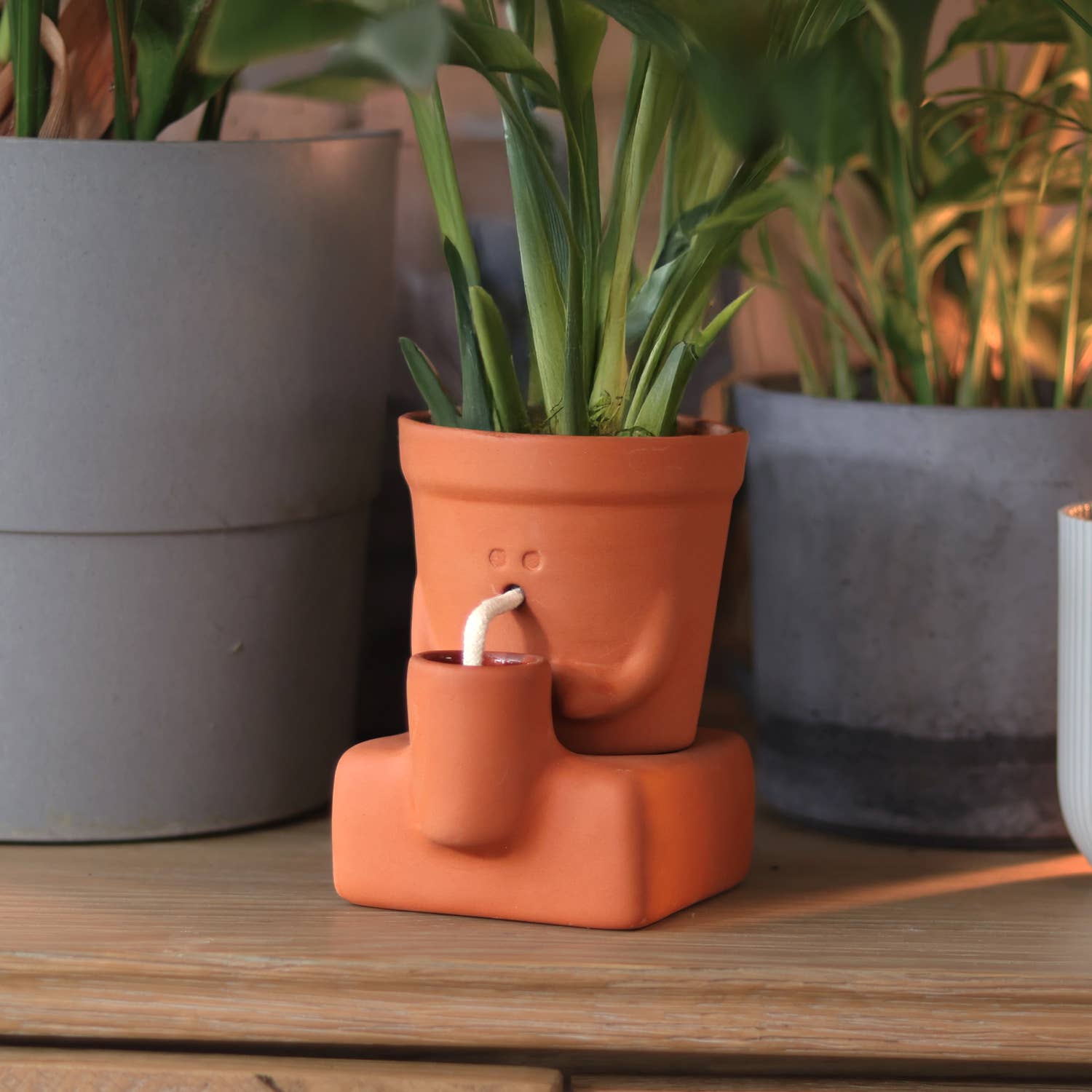 The Thirsty Planter | Self-Watering Plant Pot | Plant Gift