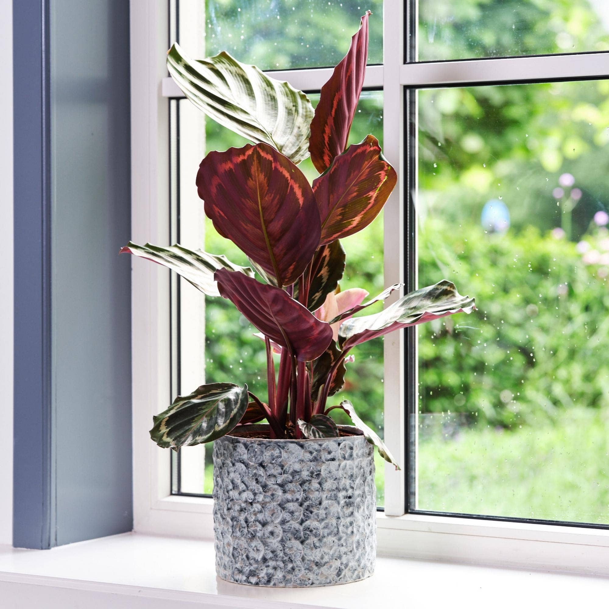 Terni Premium Glaze Ceramic Indoor Planter H15cm D18cm