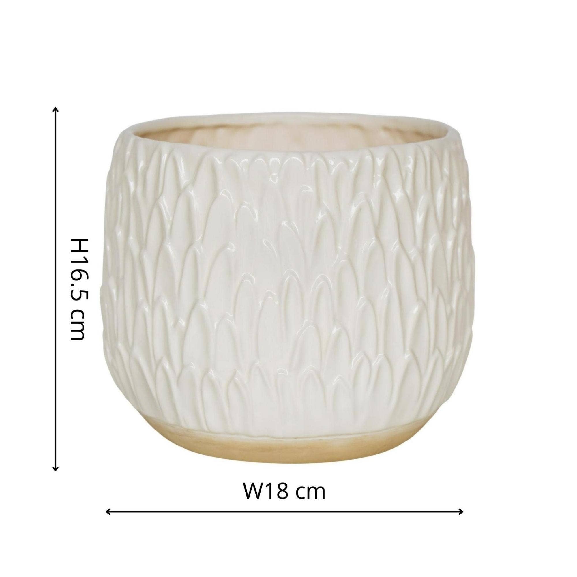 Arles Glazed Ceramic Leaf Embossed Indoor Planter