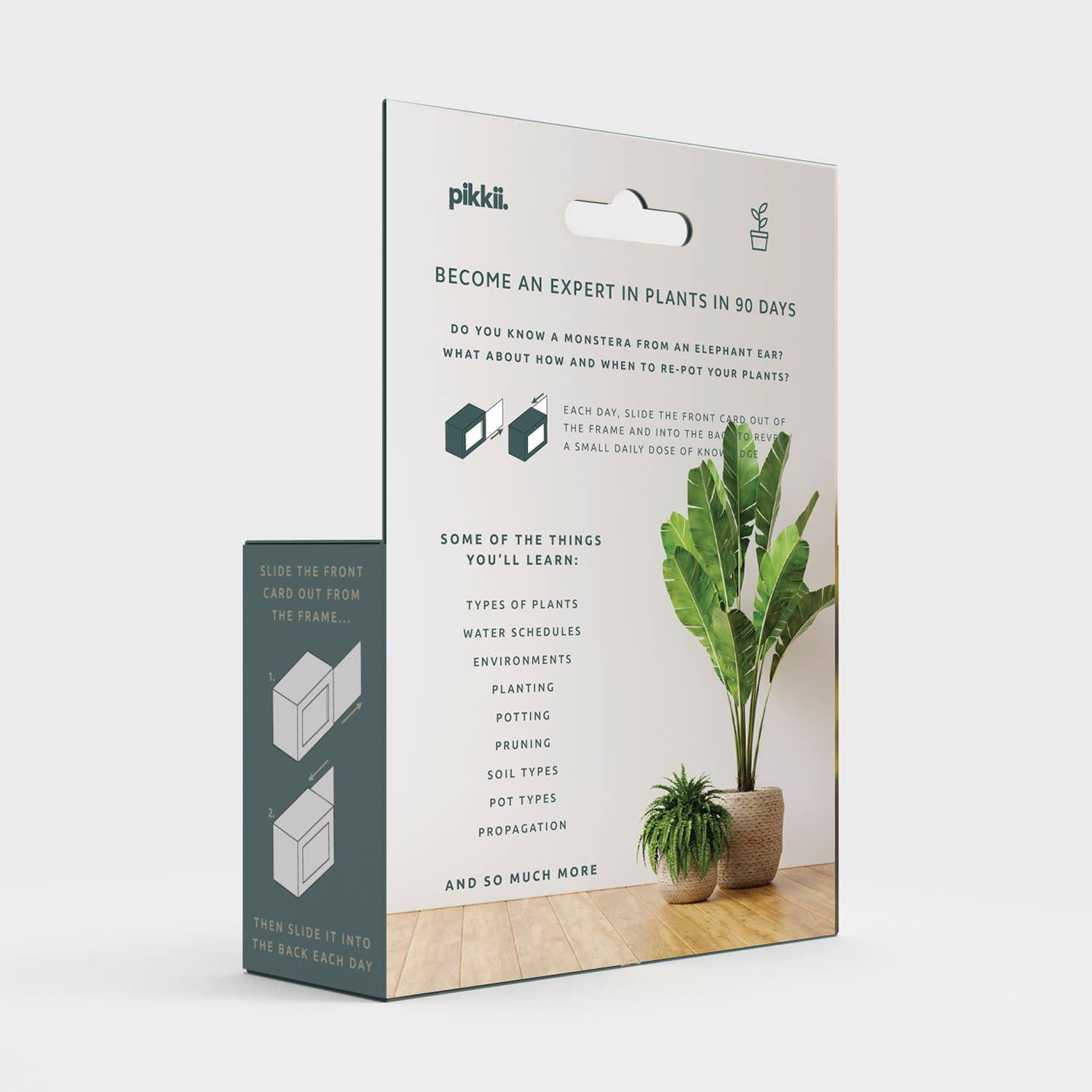 Become an Expert in Plants in 90 Days Slide Box | Plant Gift