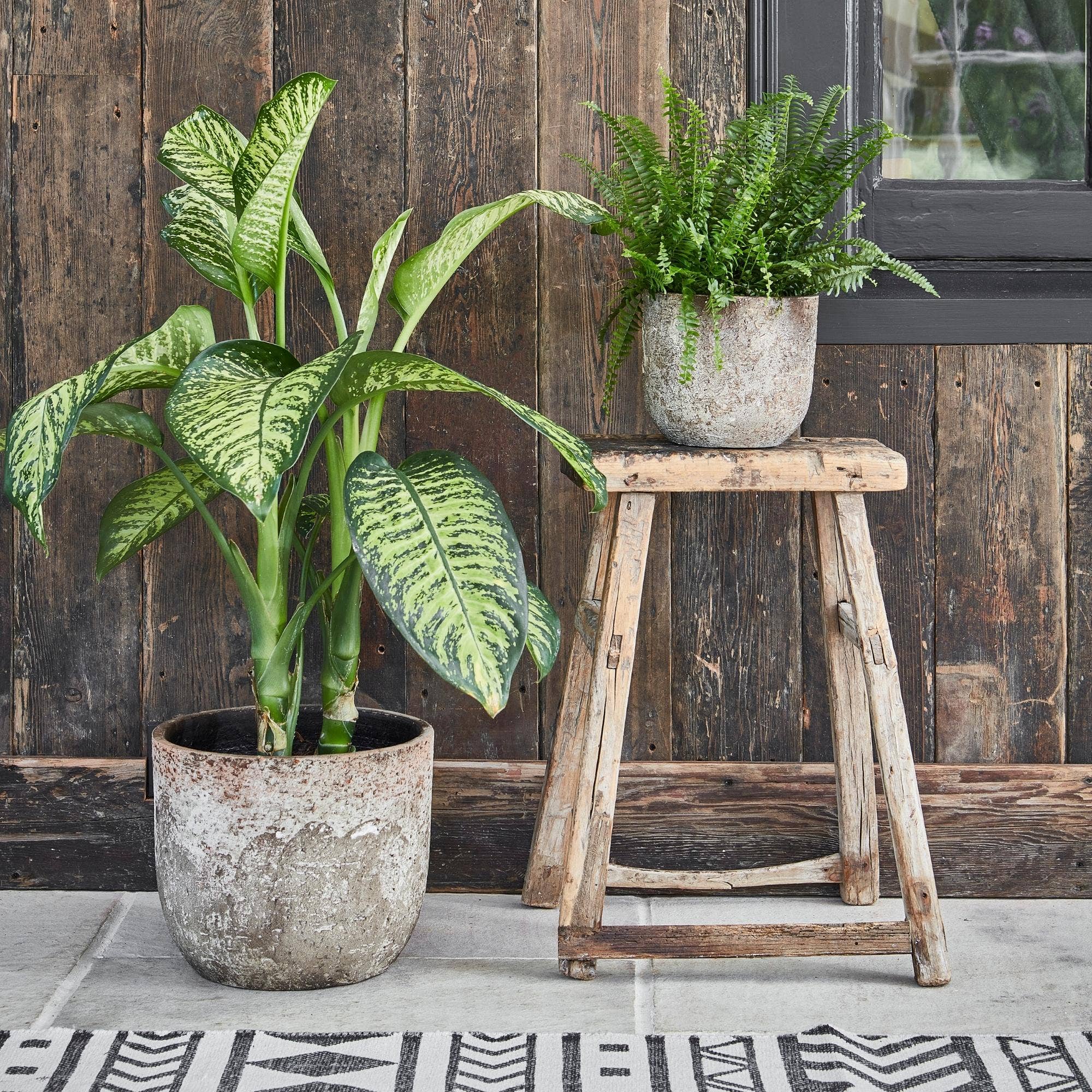 Albero Ceramic Indoor Planter H19cm x D21cm