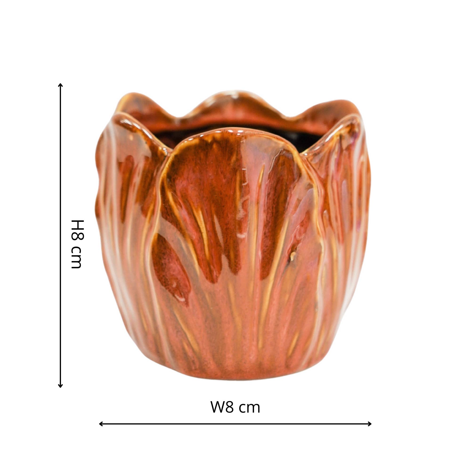 Alyssa Tulip Planter