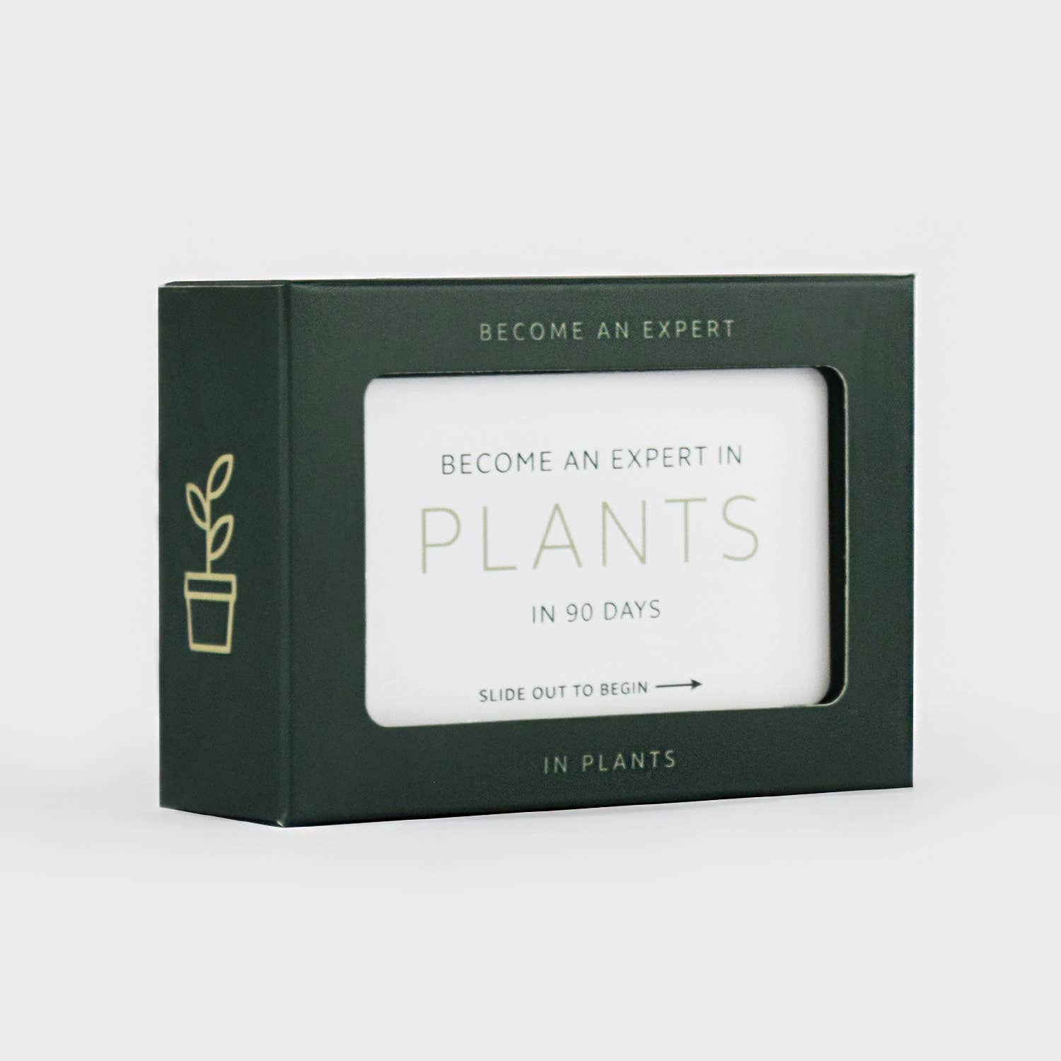 Become an Expert in Plants in 90 Days Slide Box | Plant Gift