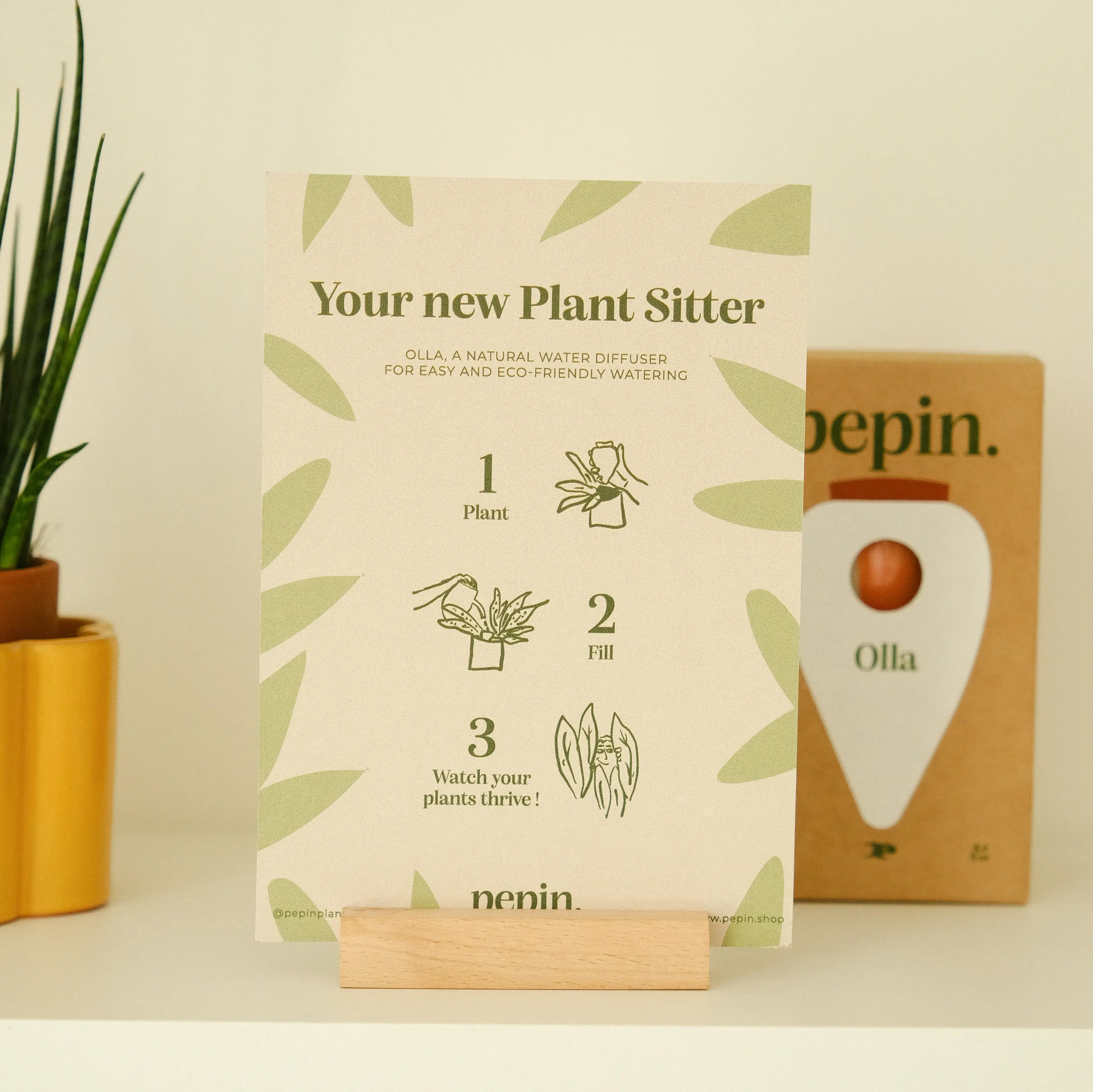 Olla -  Green and ivory stripes