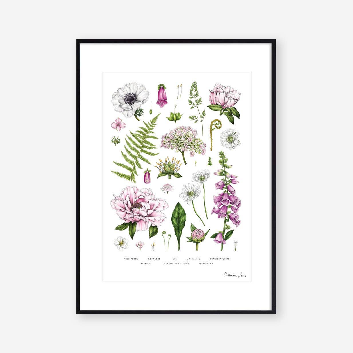 Summer Garden - White - Art Print