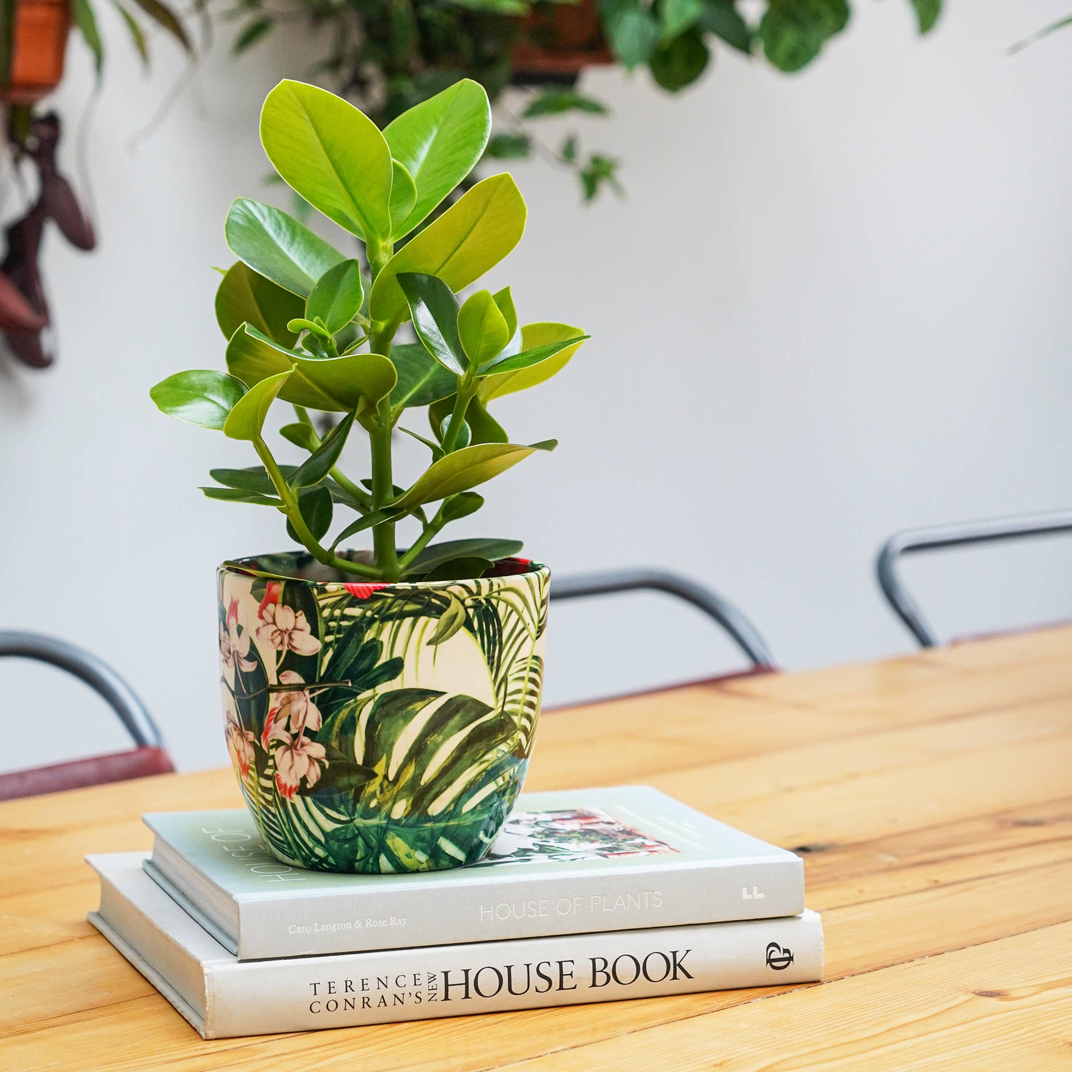 Monza Indoor Ceramic Plant Pot H16.5cm x D16.5cm