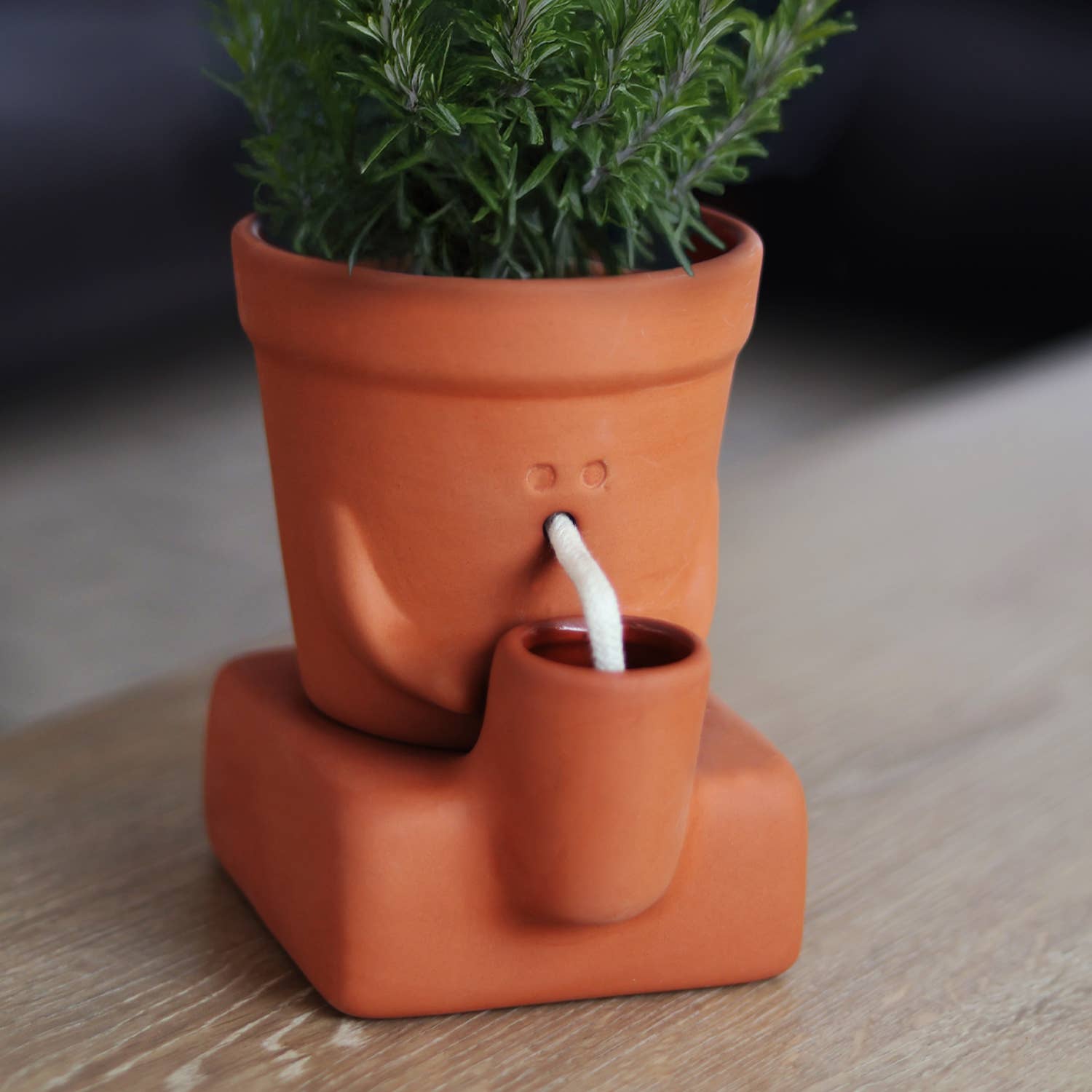 The Thirsty Planter | Self-Watering Plant Pot | Plant Gift