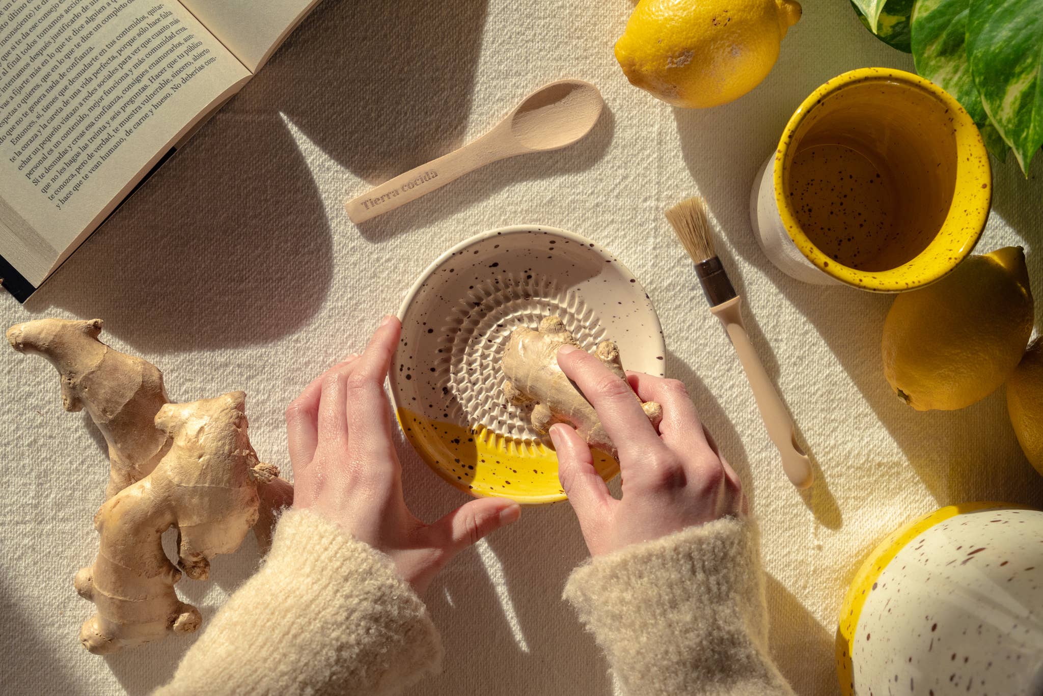 Ginger and Lemon Infusion Set. Original Gift