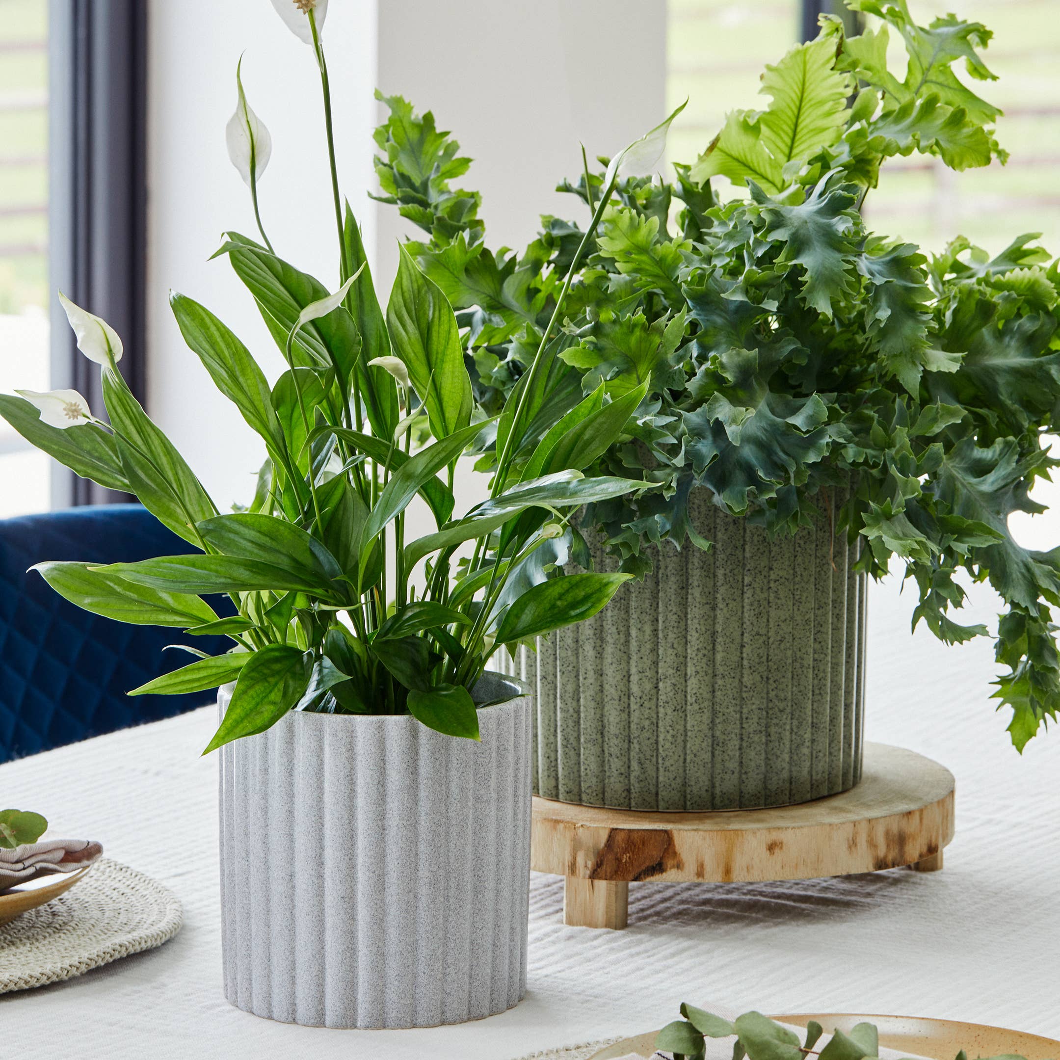 Azalea Stone Ribbed Speckle Earthenware Indoor Planter