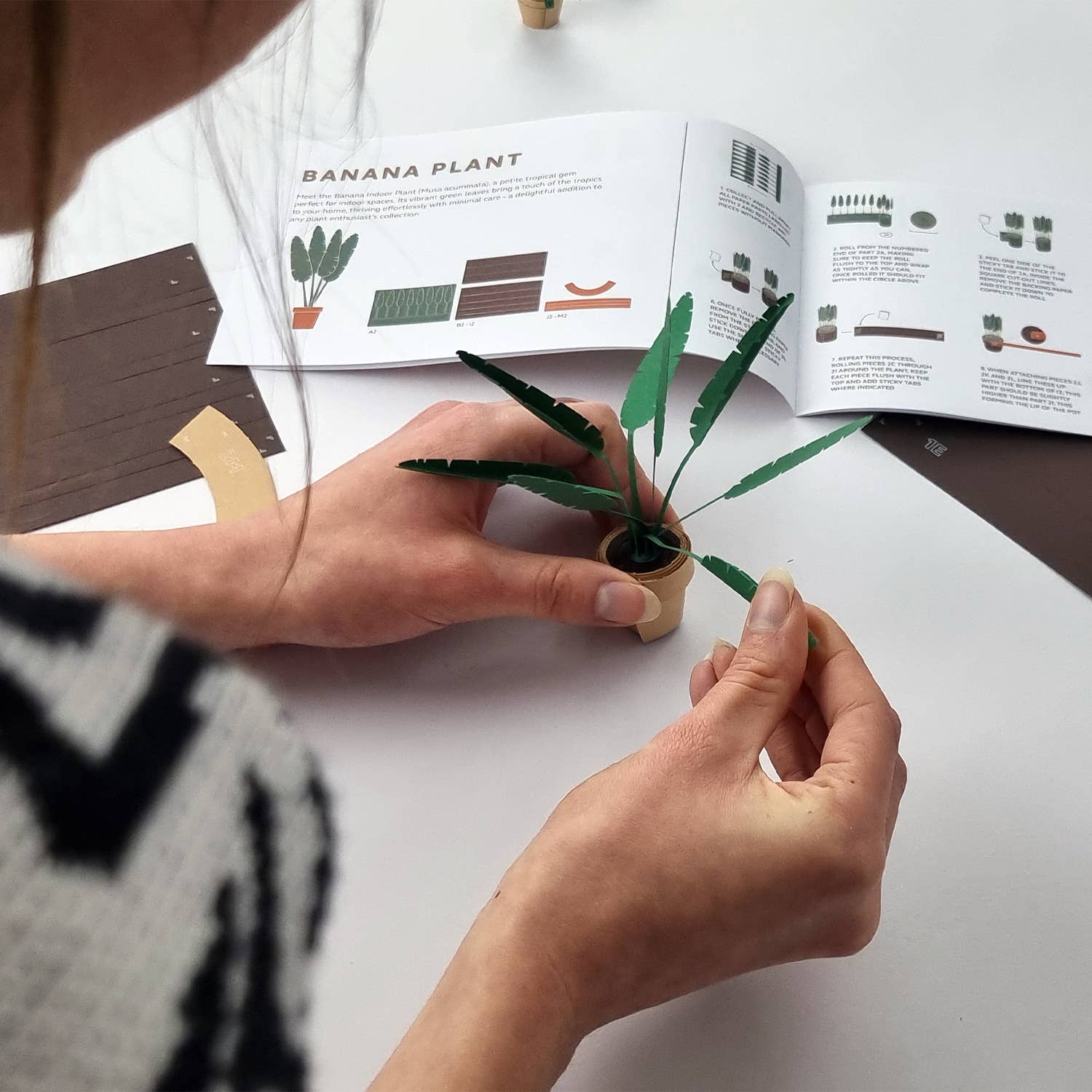 Paper Plants | Origami Kit for Desk Decor | DIY Gift