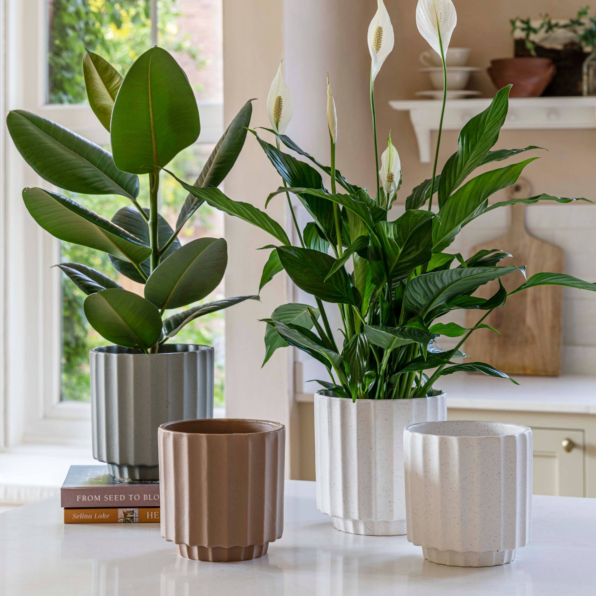 Bourton Scalloped Edge Ceramic Indoor Planter H16cm D16cm