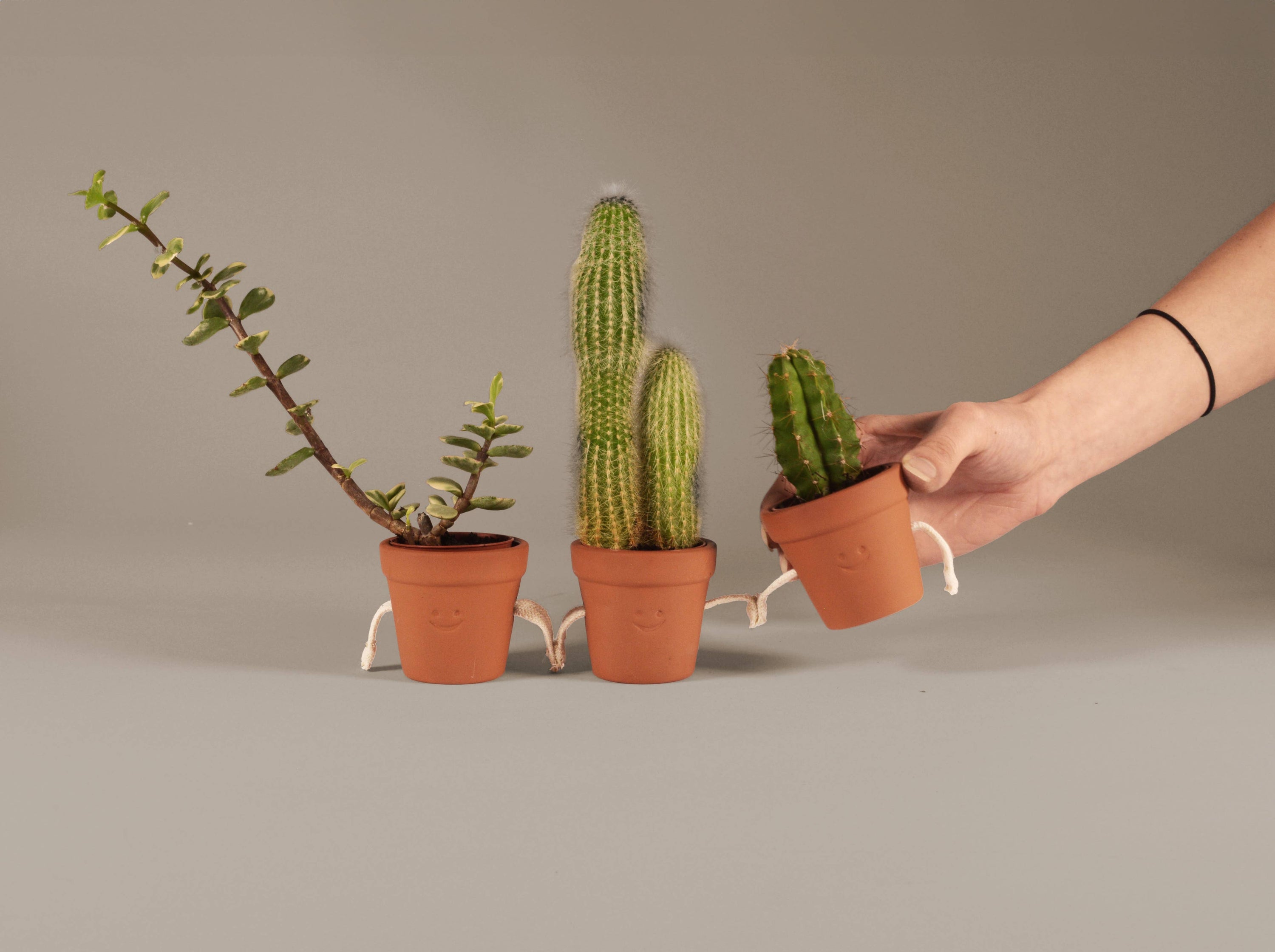 Hand-Holding Succulent Pots | Ceramic Planters | Cute Gift