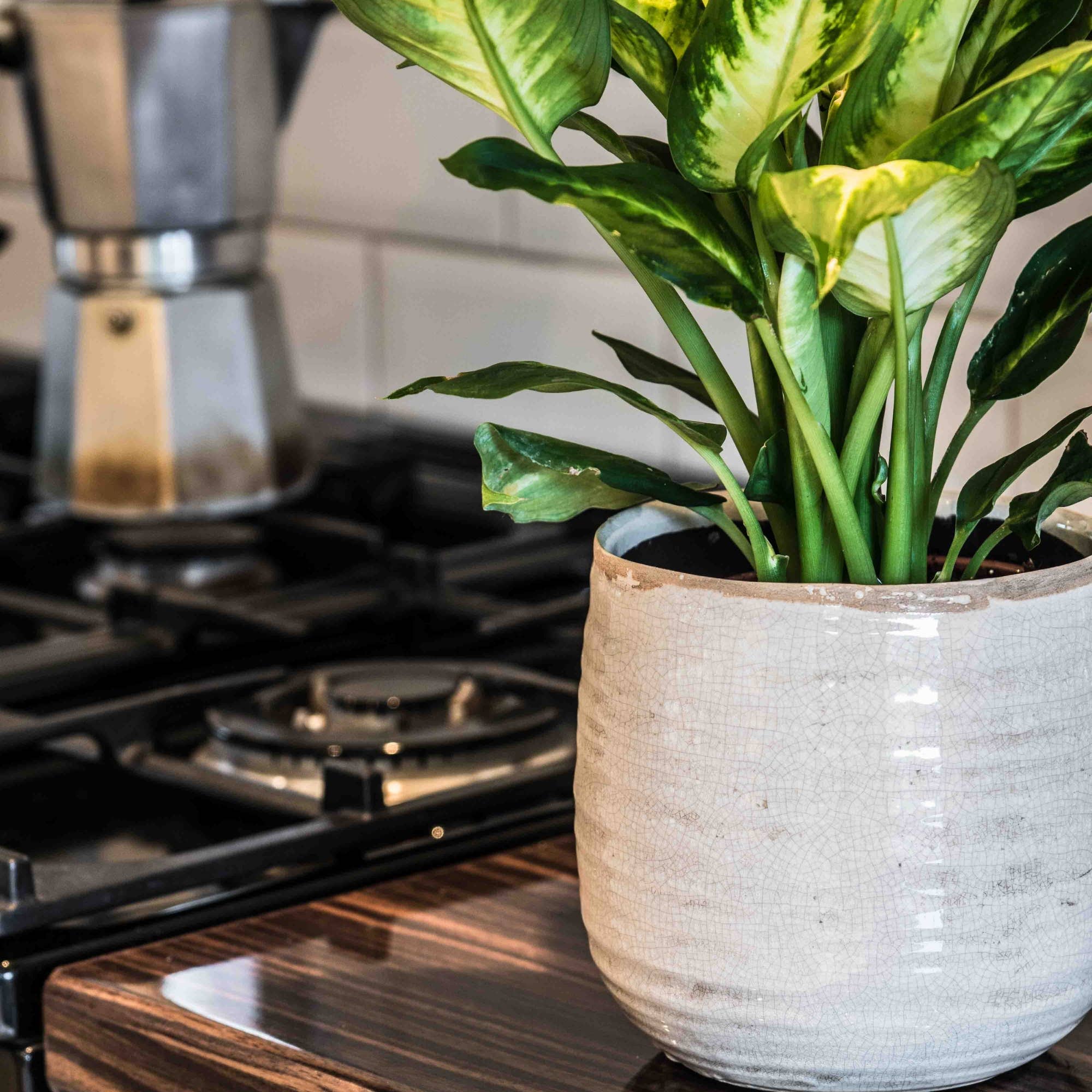 Como Hand Finished Indoor Ceramic Plant Pot H14cm D15cm