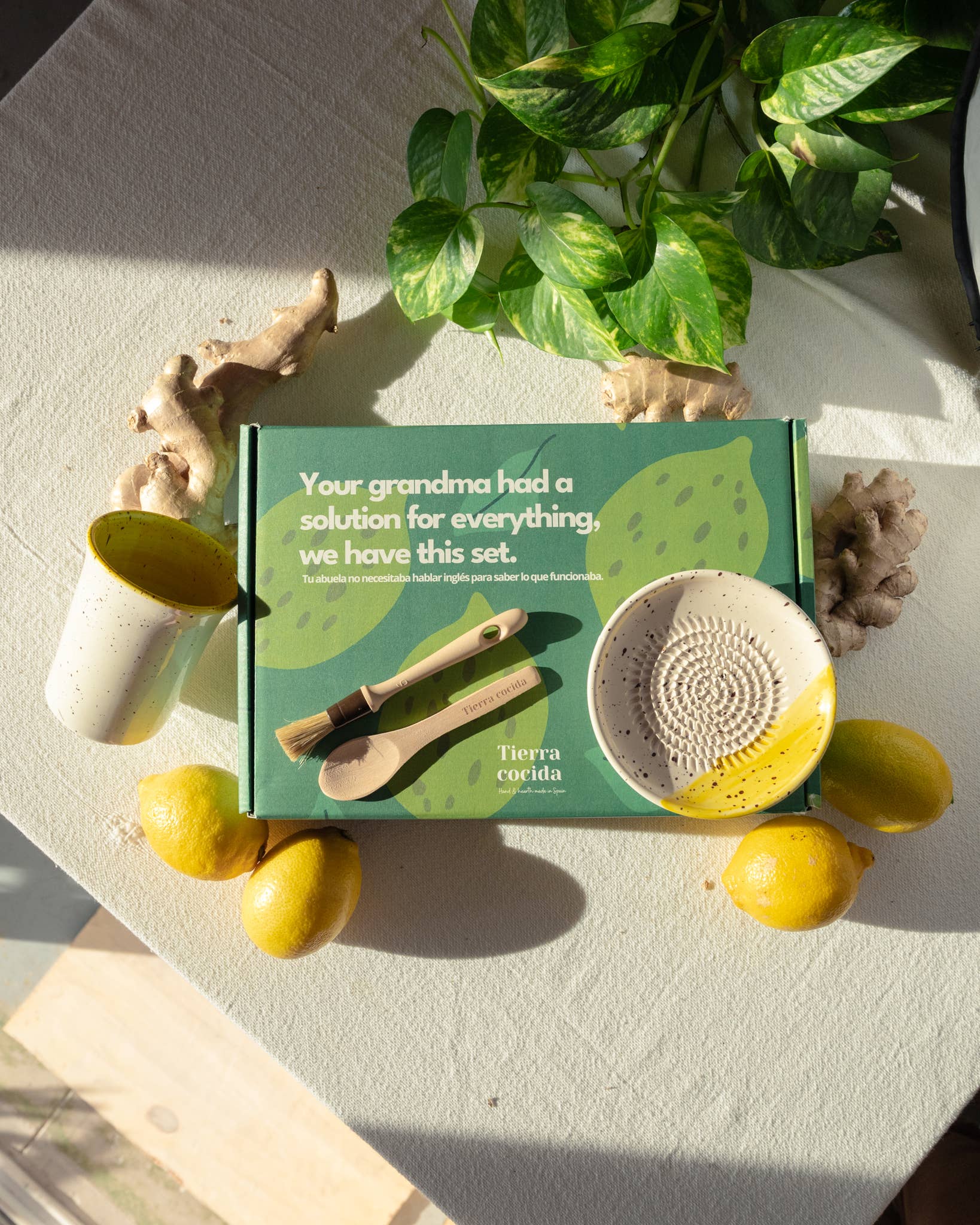 Ginger and Lemon Infusion Set. Original Gift