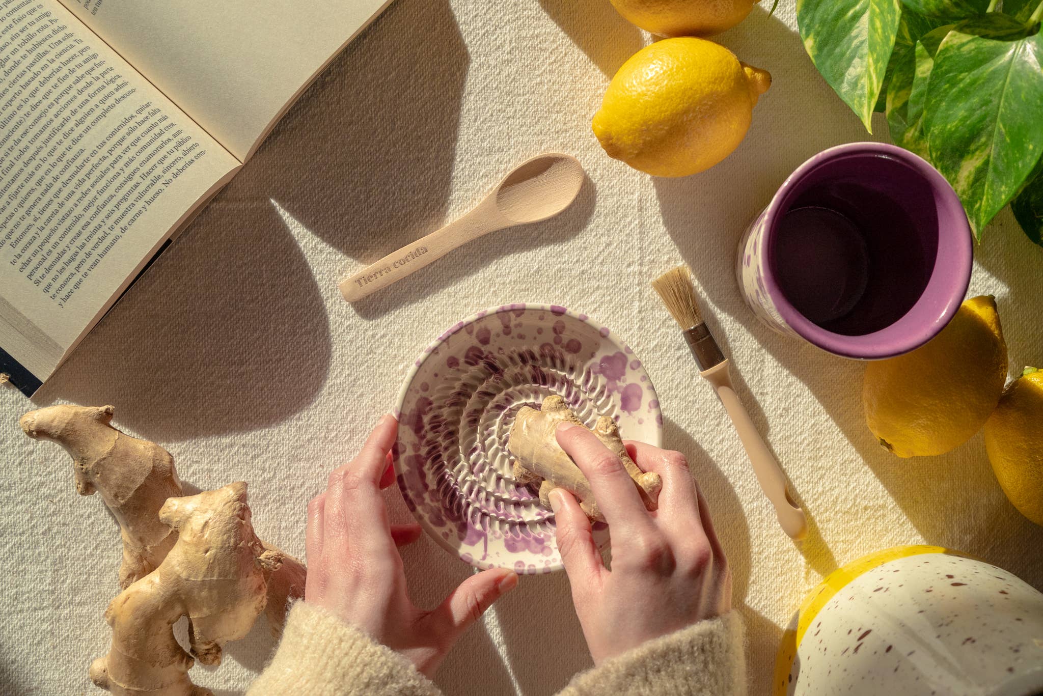 Ginger and Lemon Infusion Set. Original Gift