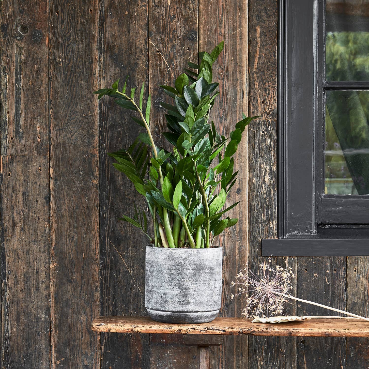 Tivoli Cement Indoor Plant Pot H20cm D21cm