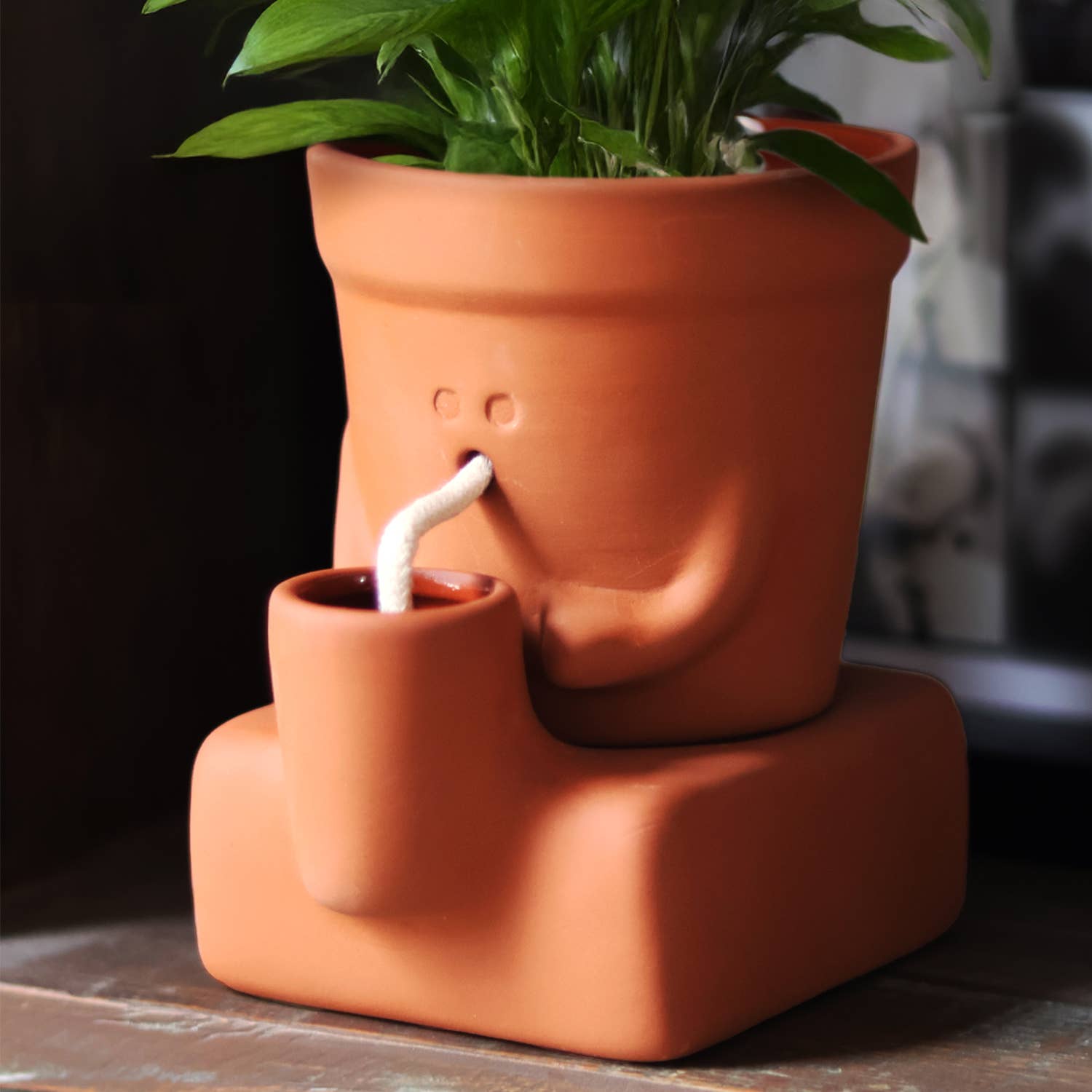 The Thirsty Planter | Self-Watering Plant Pot | Plant Gift