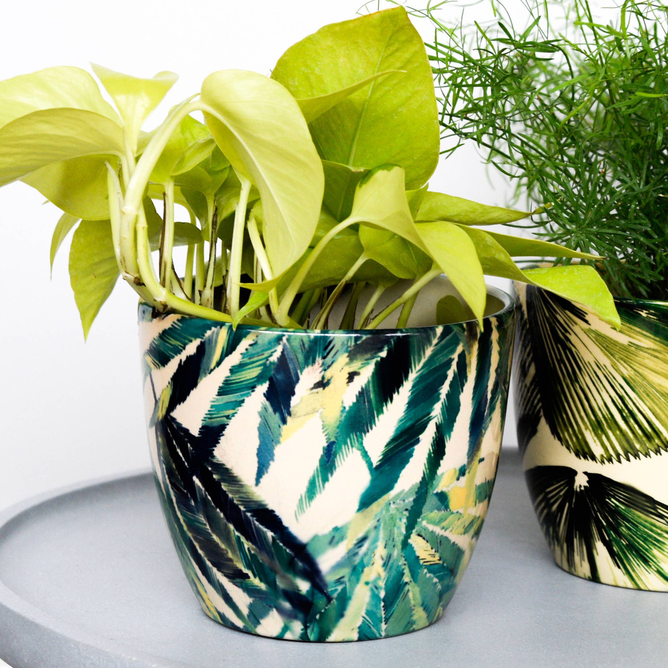 Monza Indoor Ceramic Plant Pot H16.5cm x D16.5cm