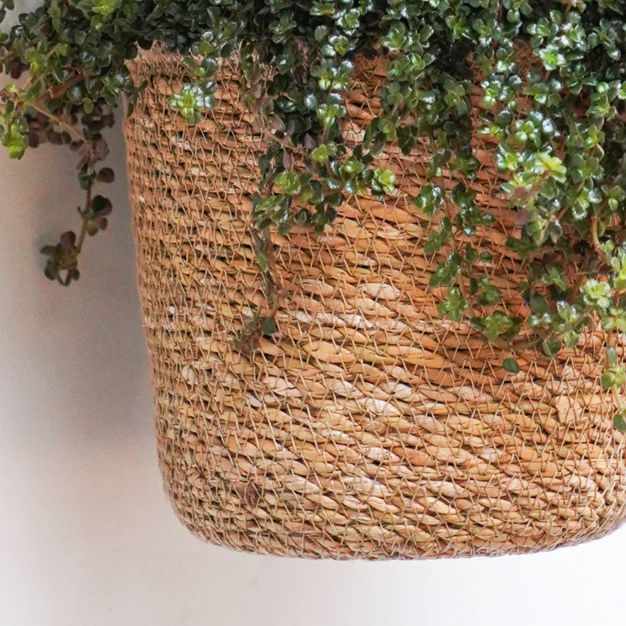 Odda Hanging Natural Seagrass Lined Indoor Planter