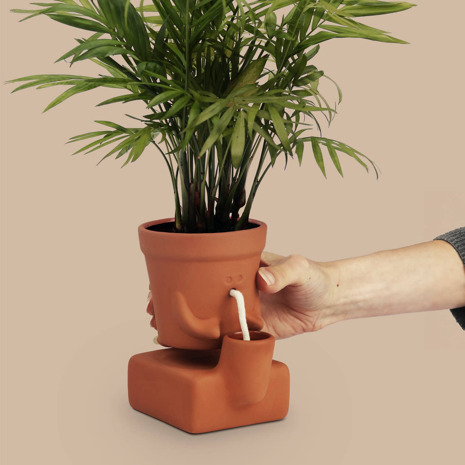 The Thirsty Planter | Self-Watering Plant Pot | Plant Gift
