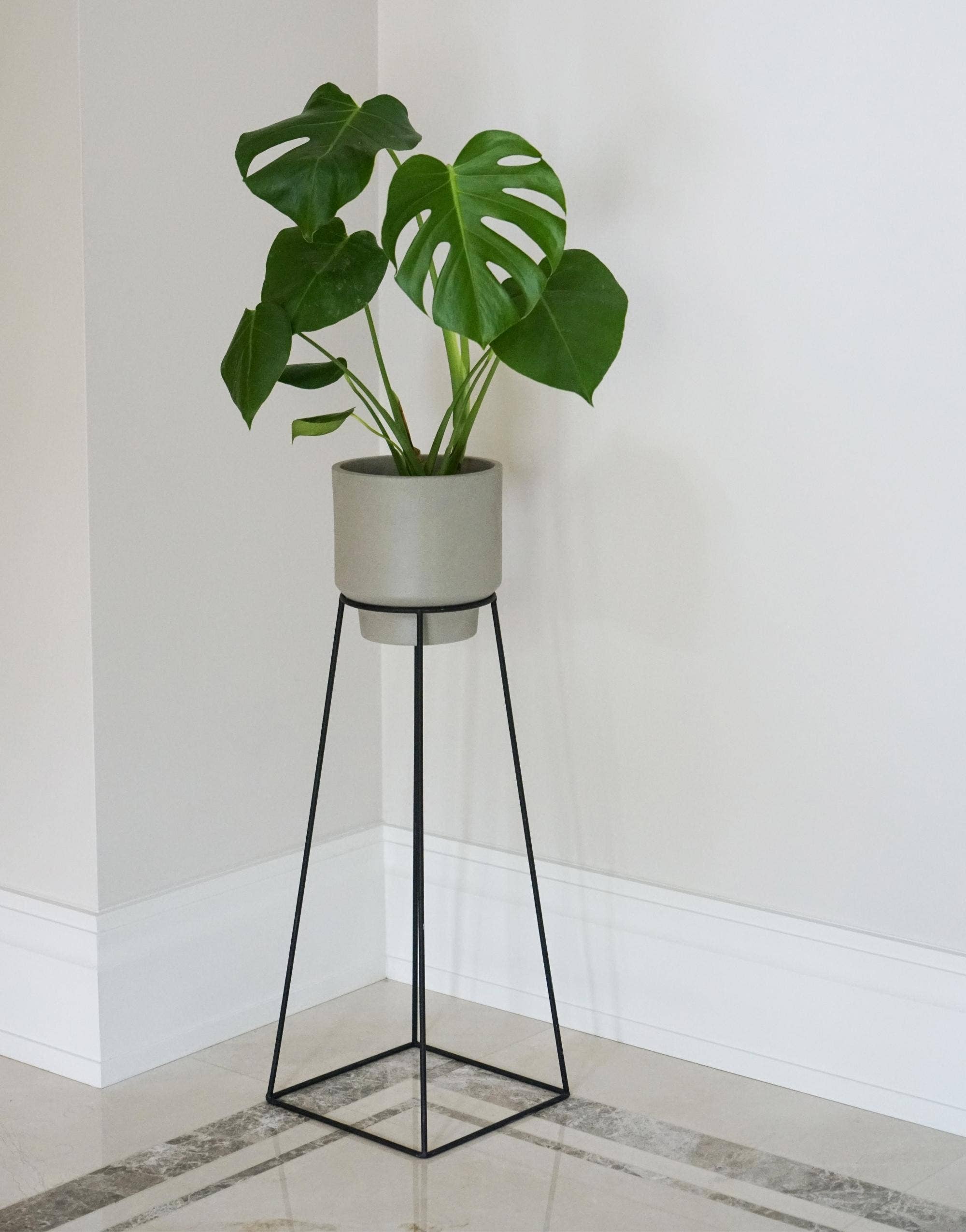 Minimo Plant Stand in Black