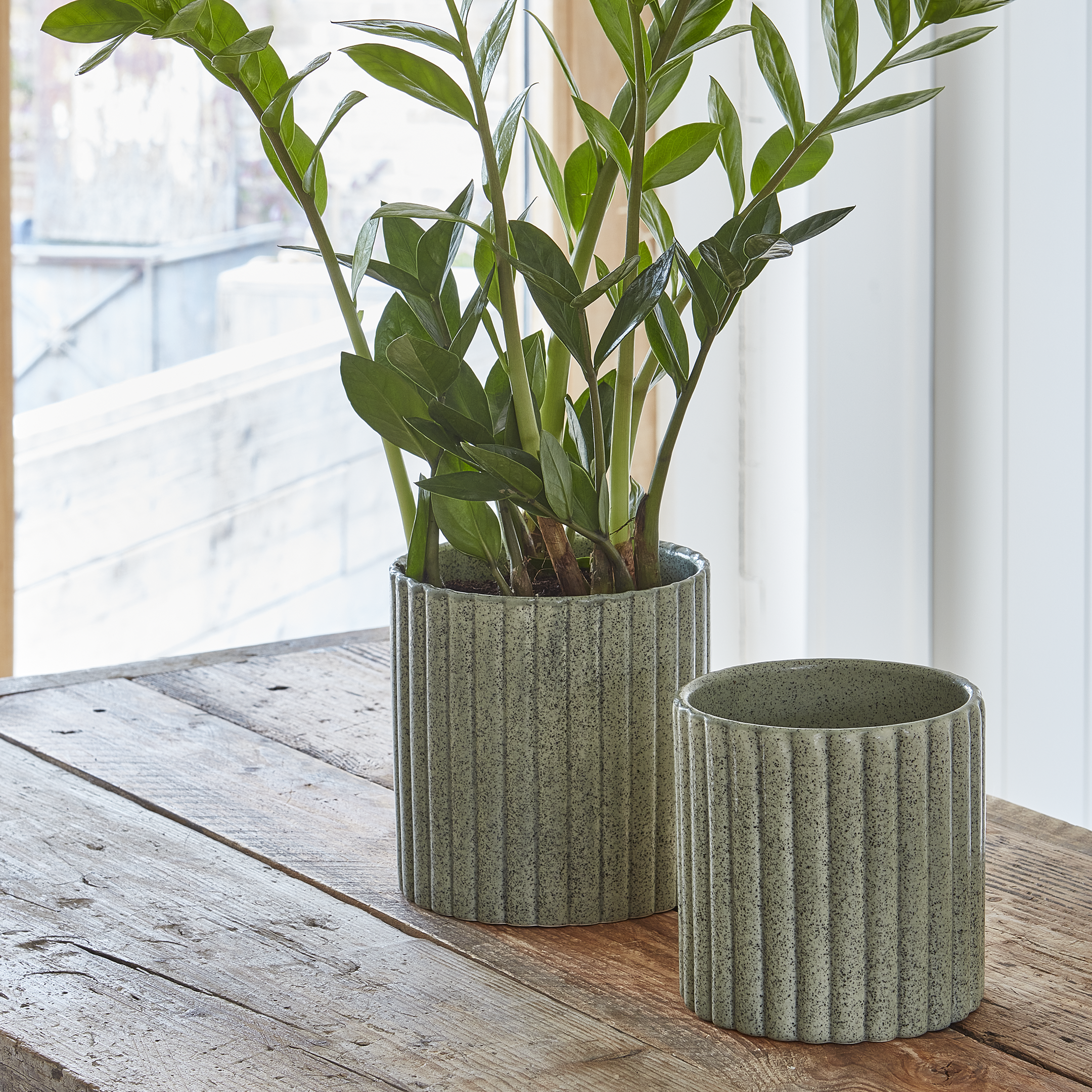 Azalea Stone Ribbed Speckle Earthenware Indoor Planter