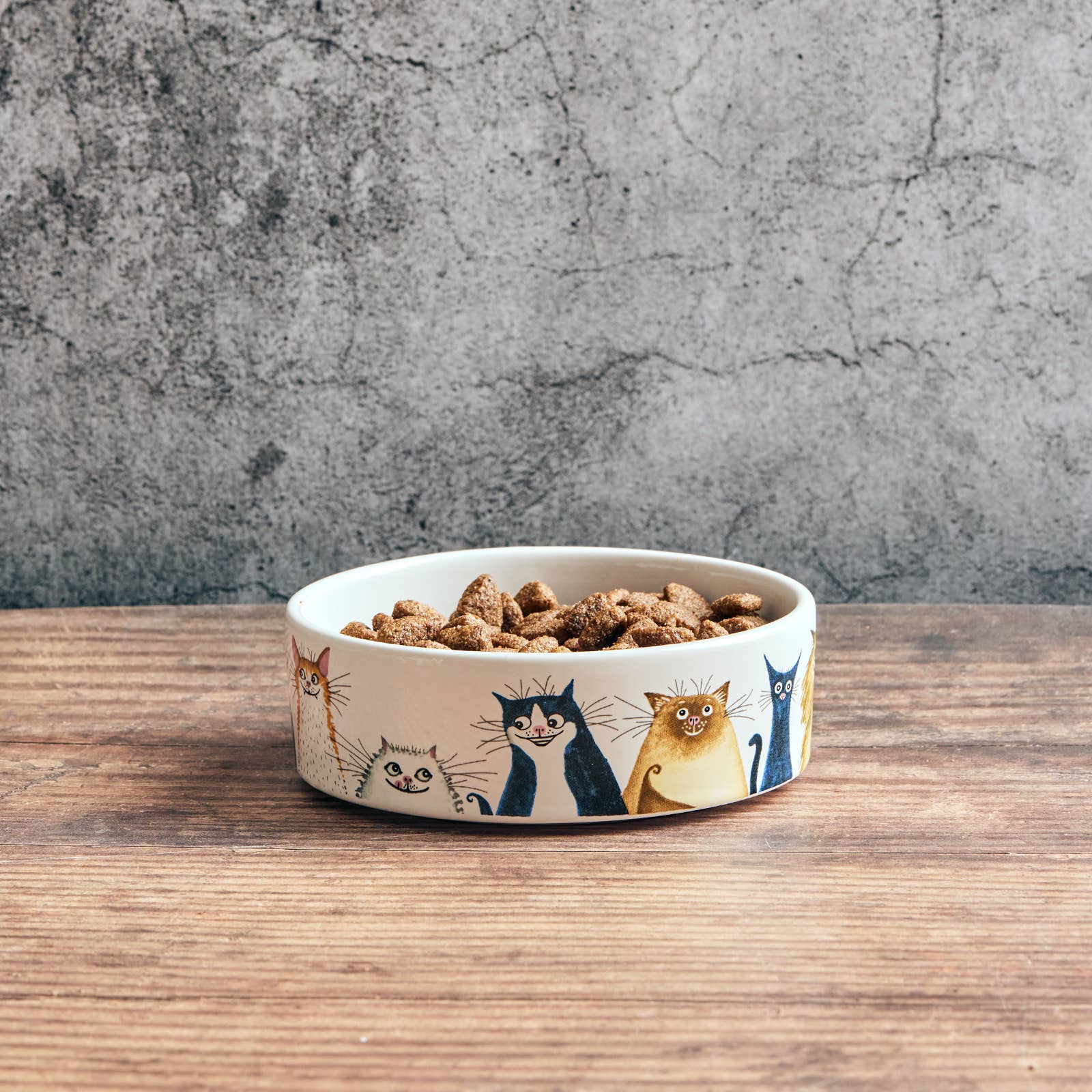 From Wags to Whiskers Cat Bowl